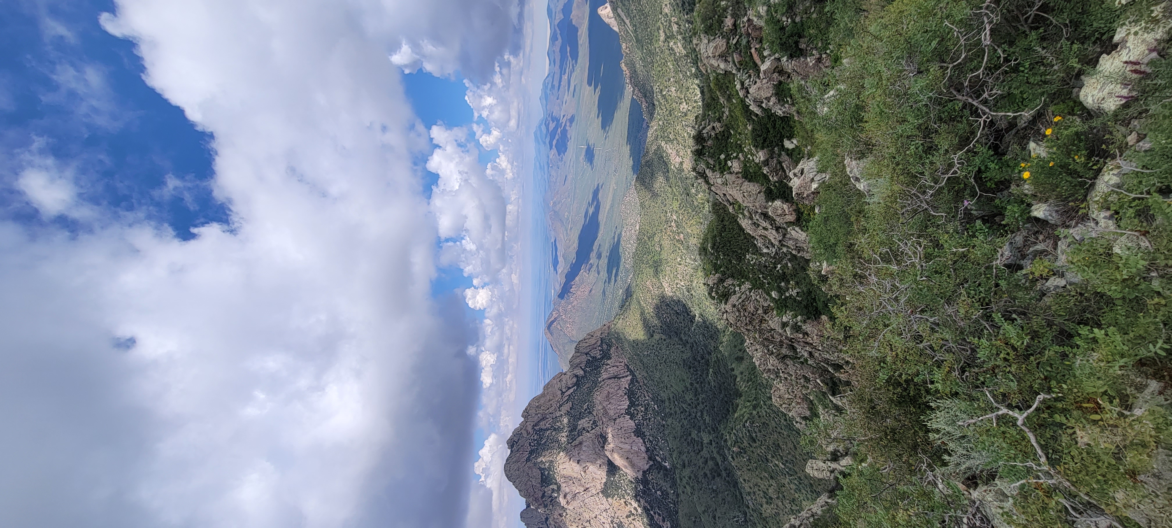 Organ Peak Trail