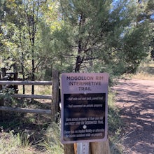 Mogollon Rim Interpretive Trail