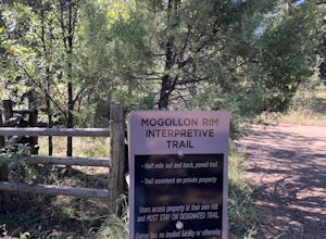 Mogollon Rim Interpretive Trail
