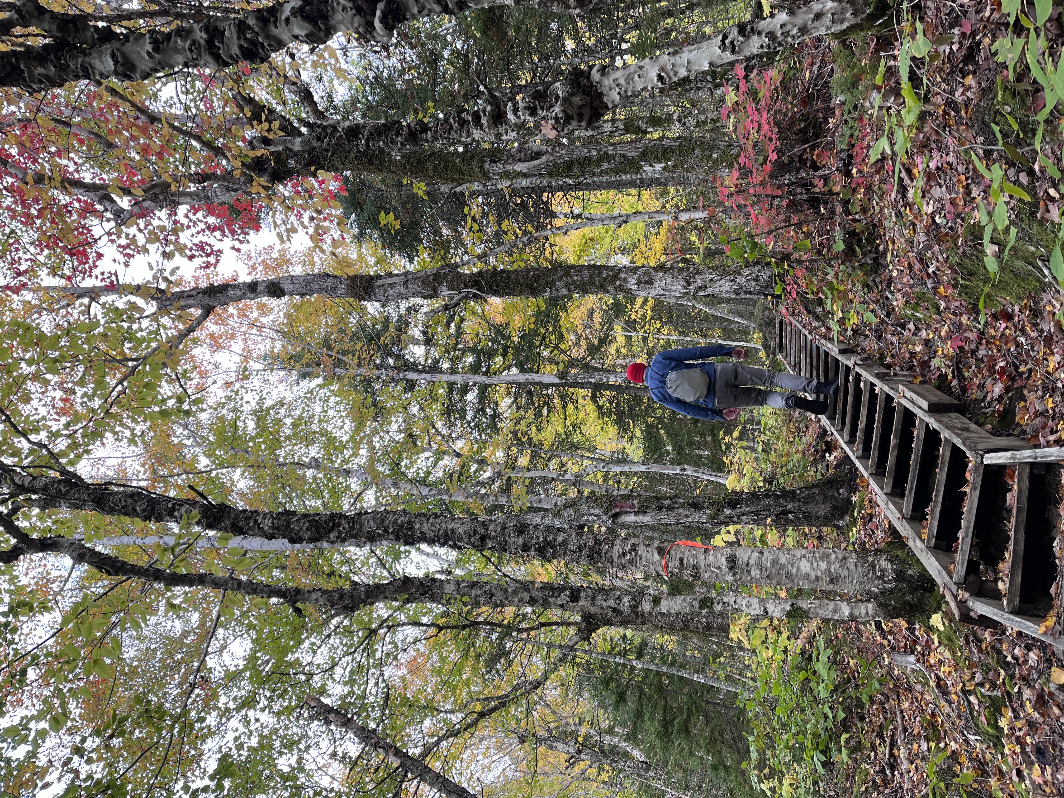 Franey Mountain Loop