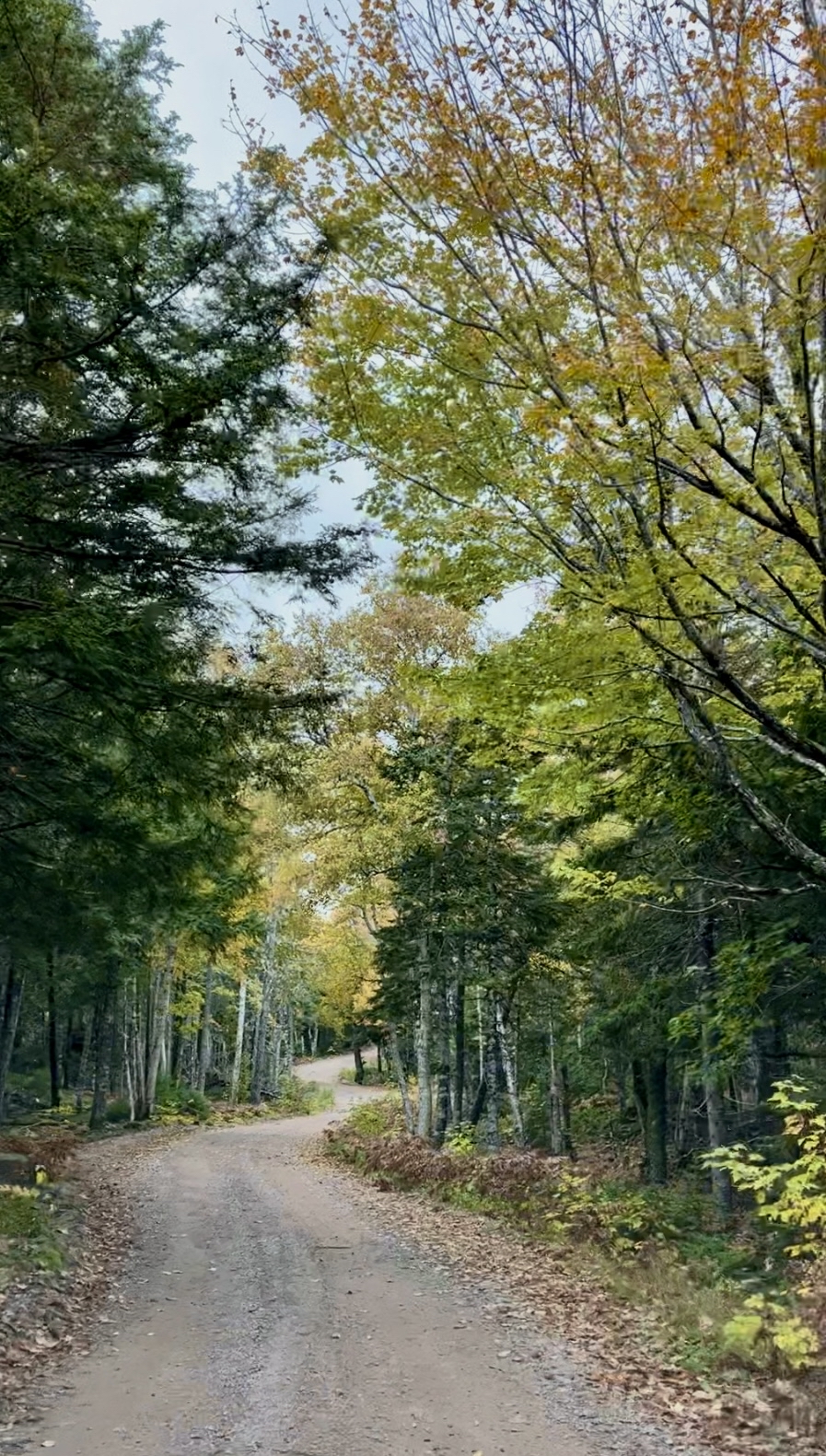 Franey Mountain Loop