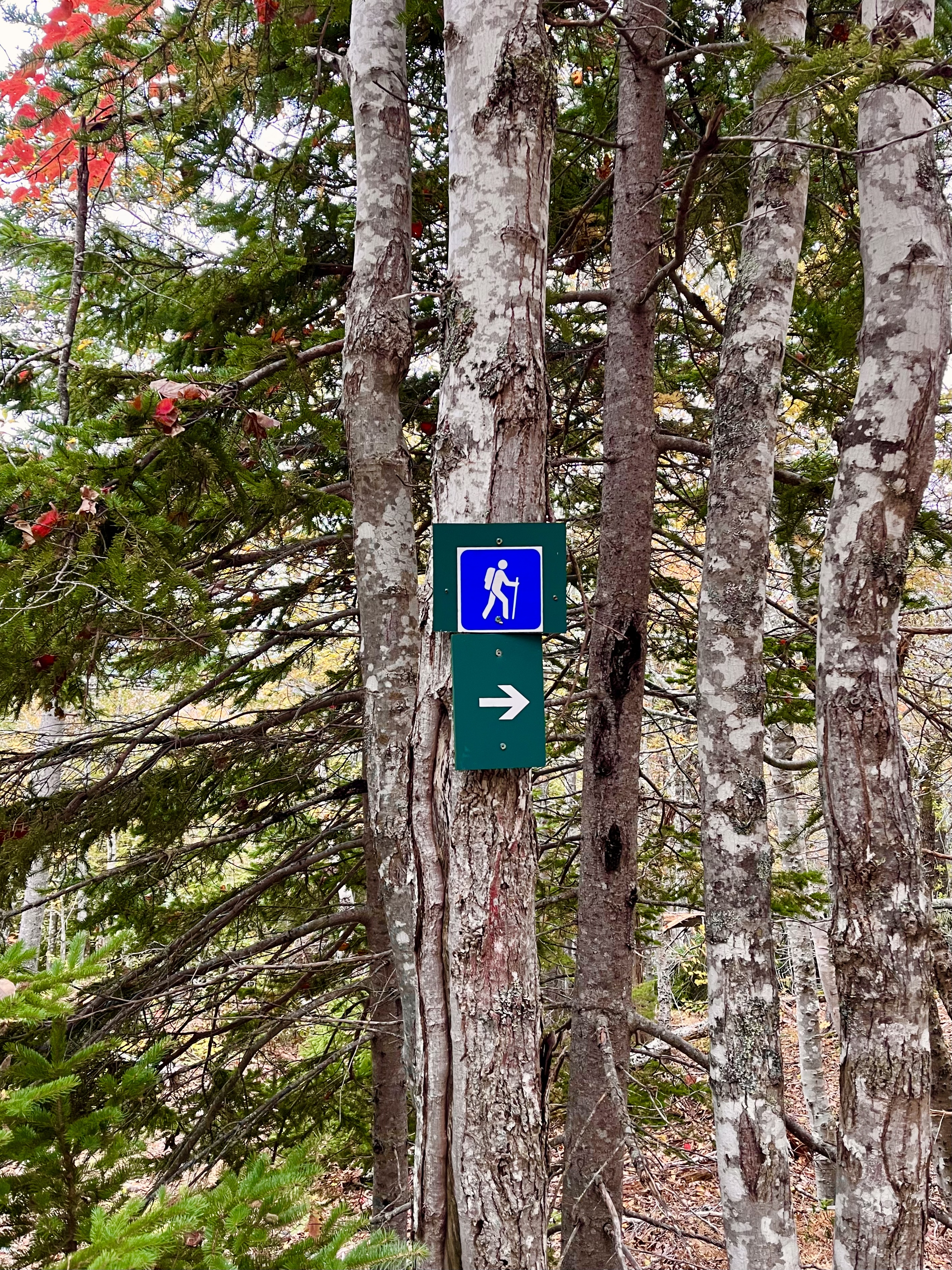Franey Mountain Loop