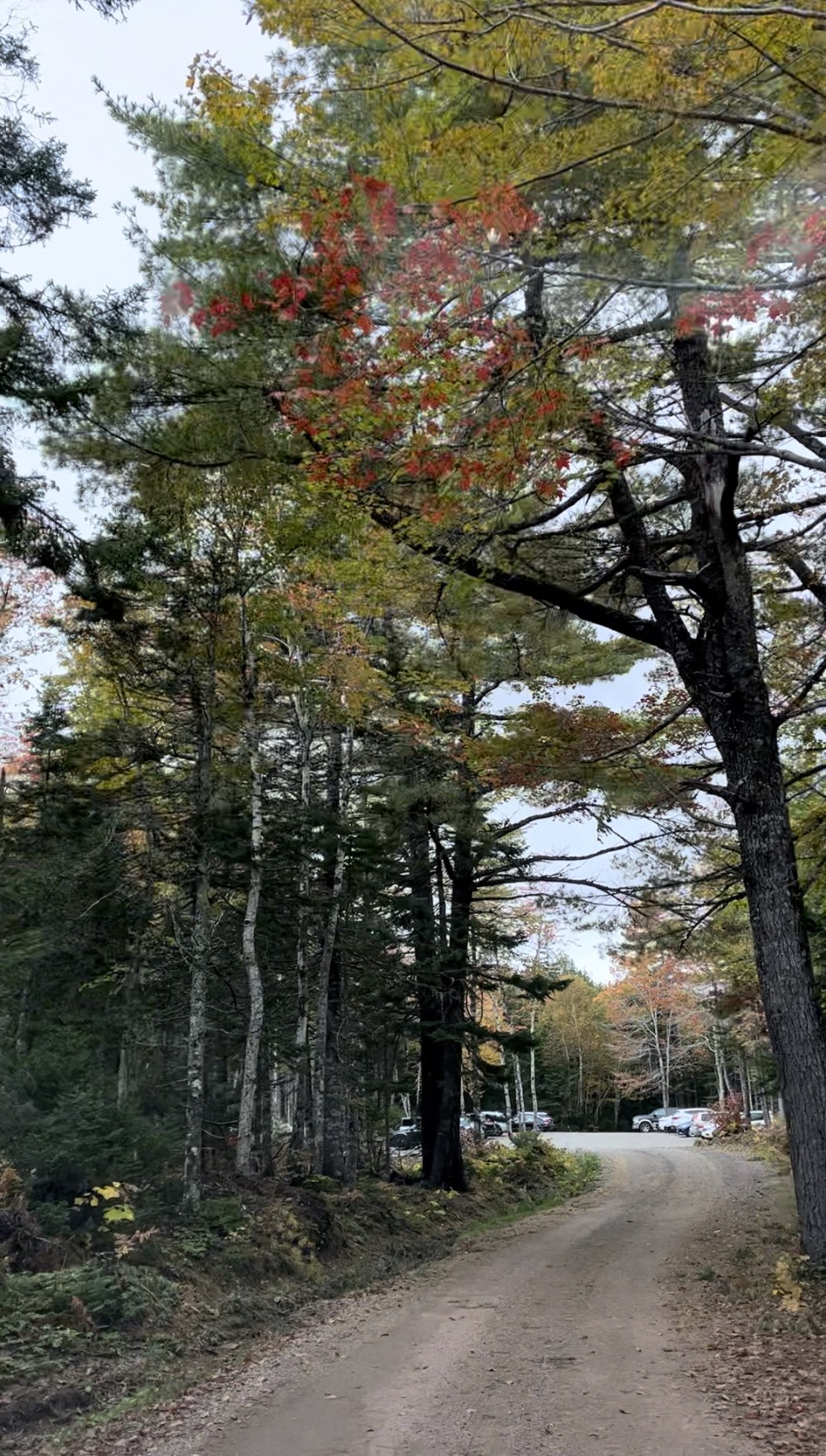 Franey Mountain Loop