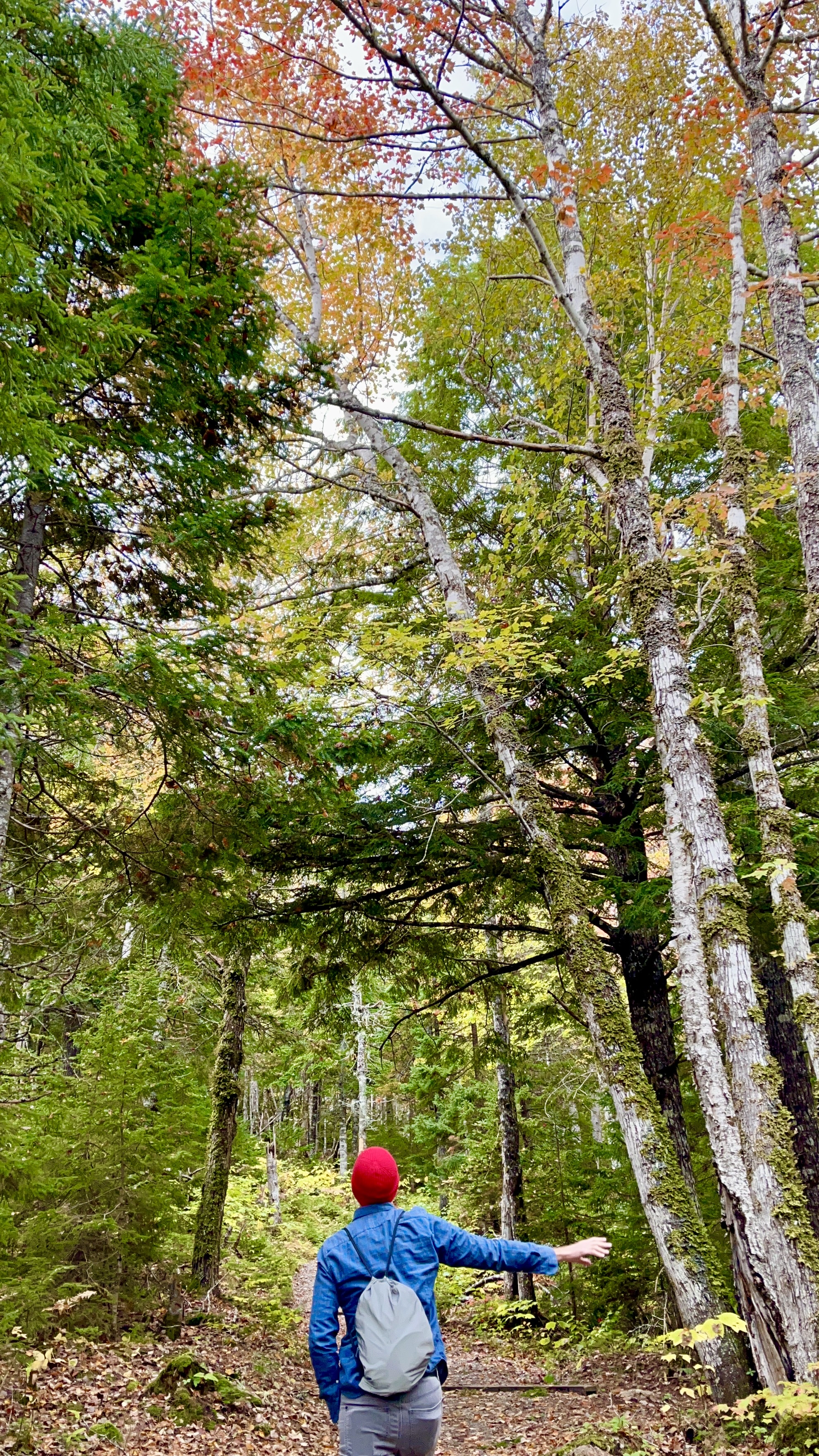Franey Mountain Loop