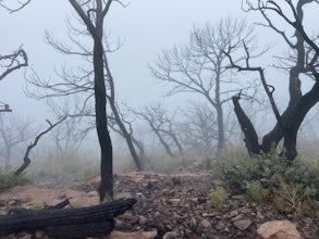 Hike South Rim Trail Boot Springs Trail