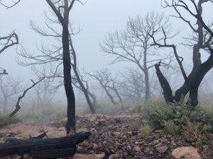Hike South Rim Trail Boot Springs Trail