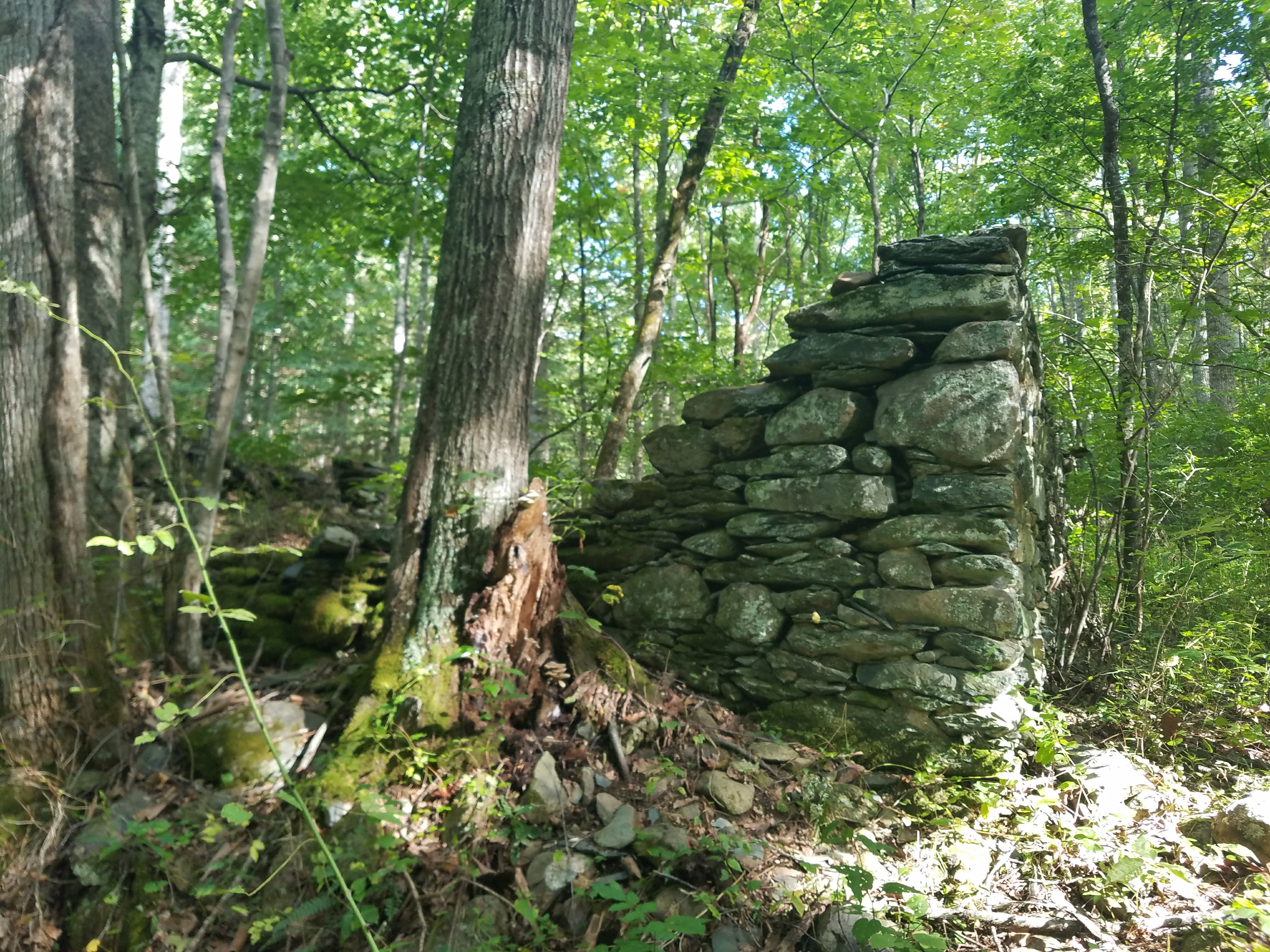 Hike Moorman's River
