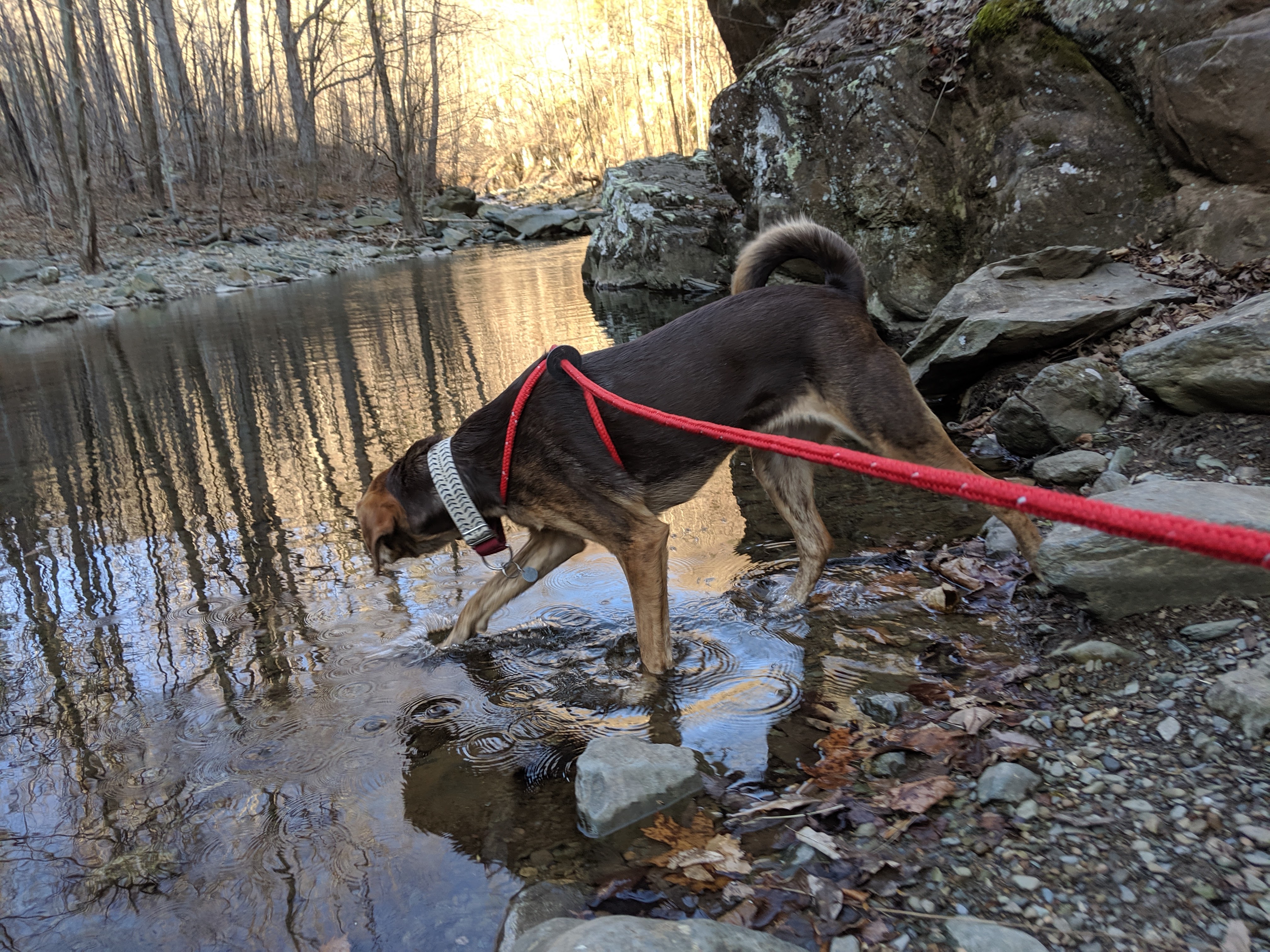 Hike Moorman's River