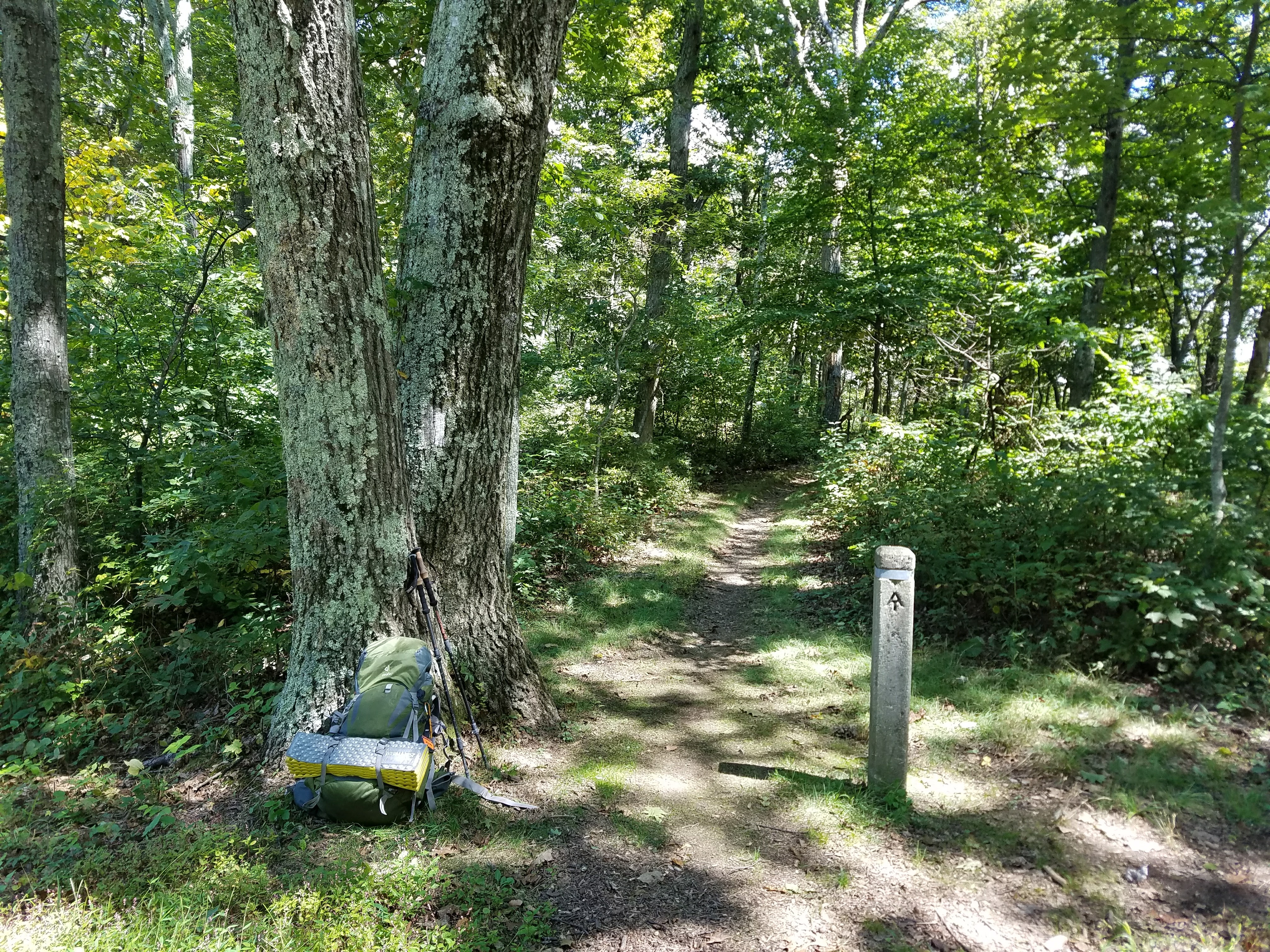 Hike Moorman's River