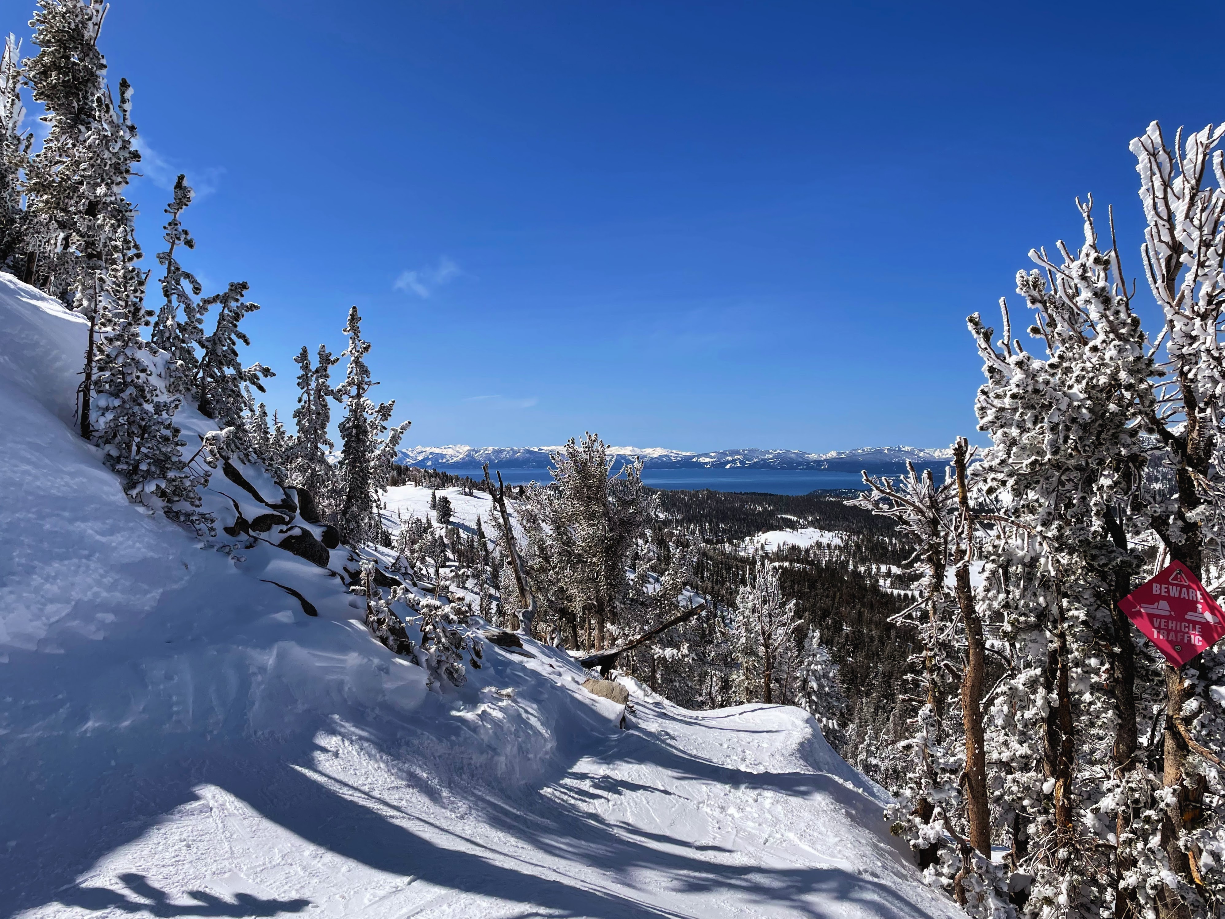 Ski or Snowboard Mt. Rose