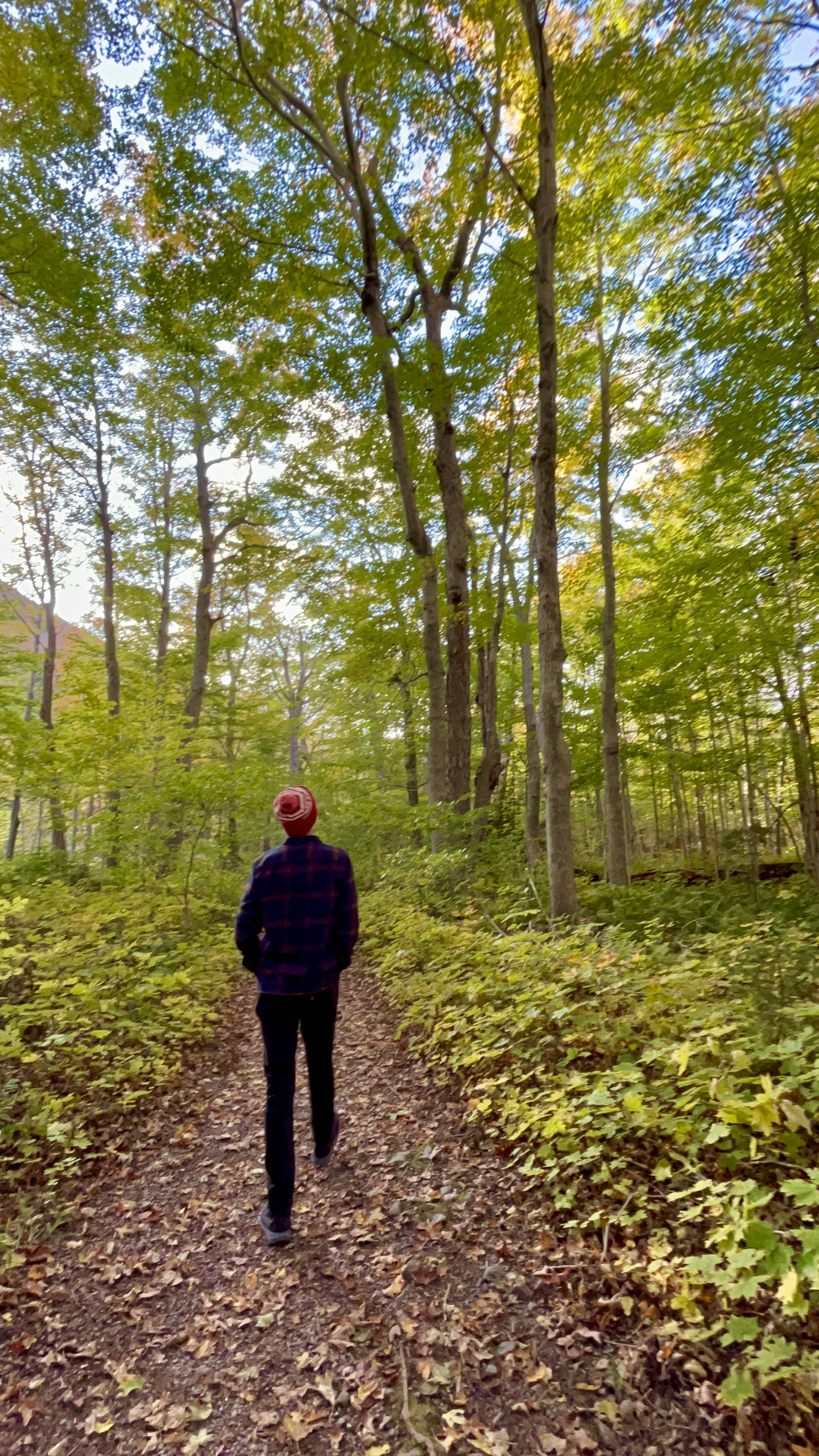 Lone Shieling Trail