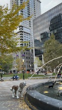 Berczy Park