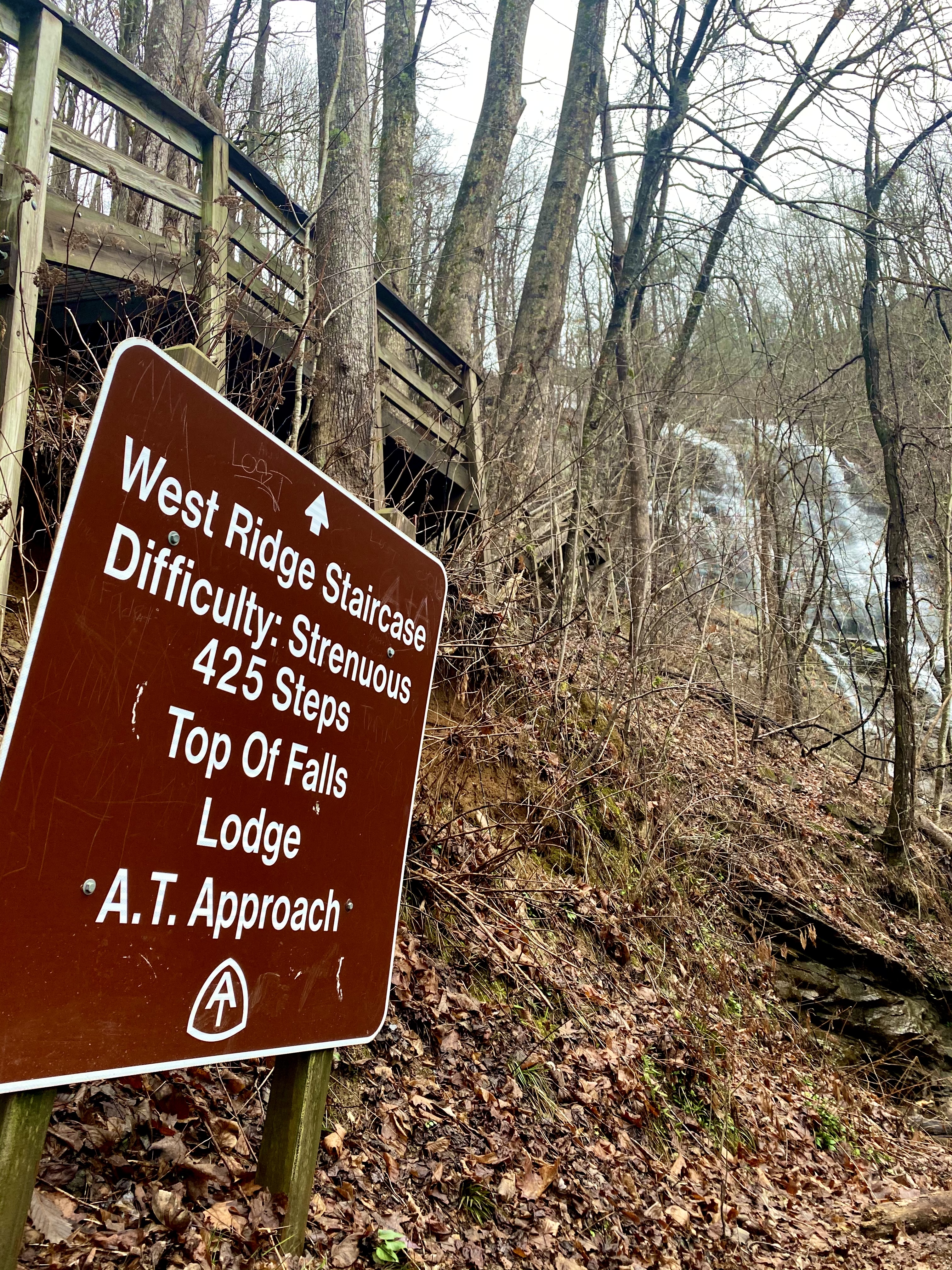 Amicalola Falls