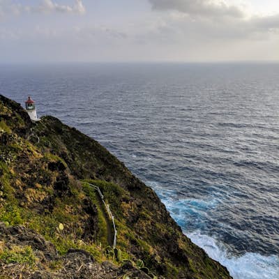 Hike the Makapu'u Point Lighthouse Trail