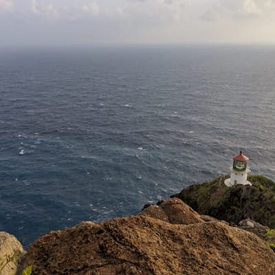 Hike the Makapu'u Point Lighthouse Trail