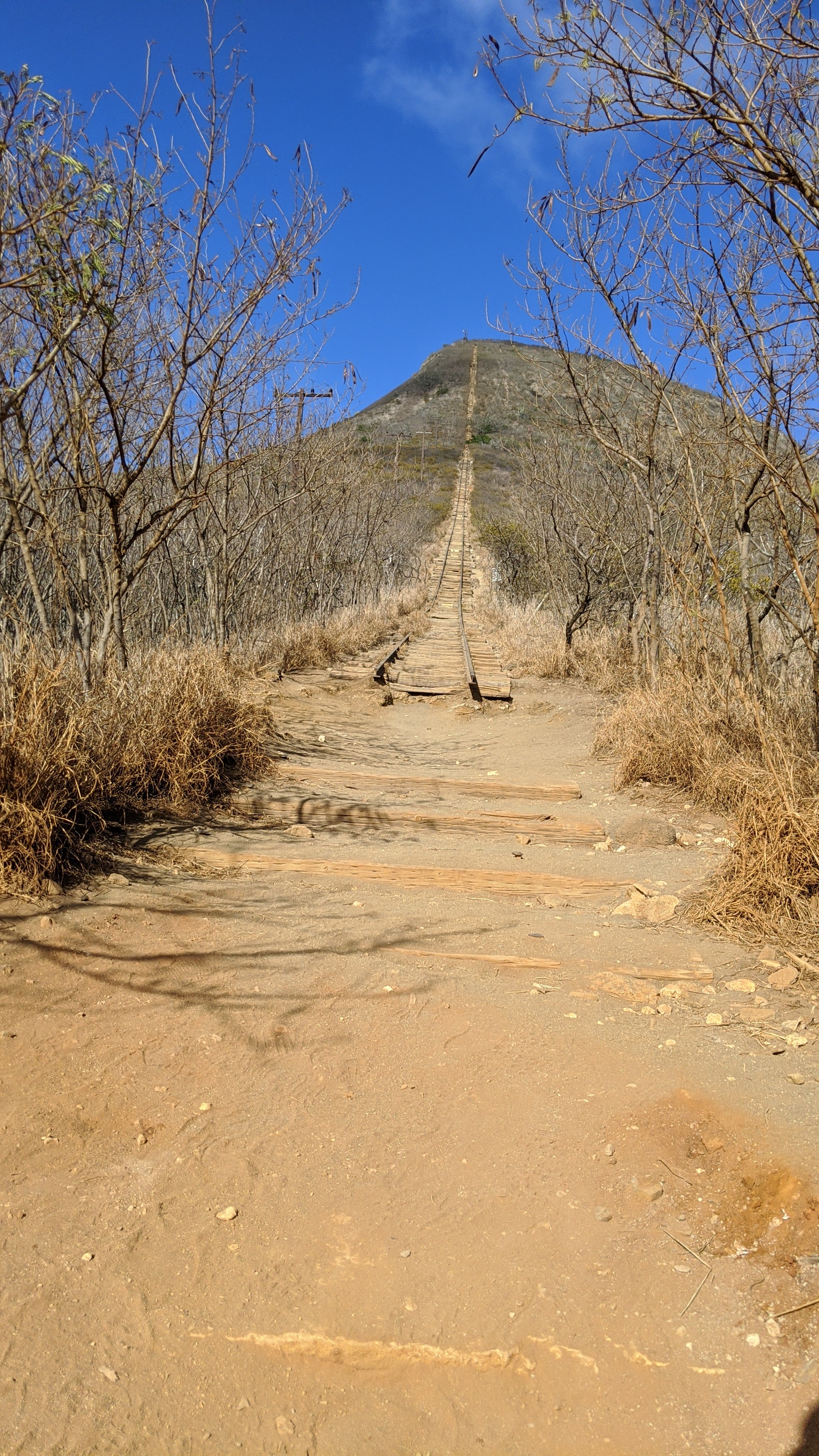 Koko Head Crater Trail
