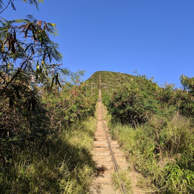 Koko Head Crater Trail