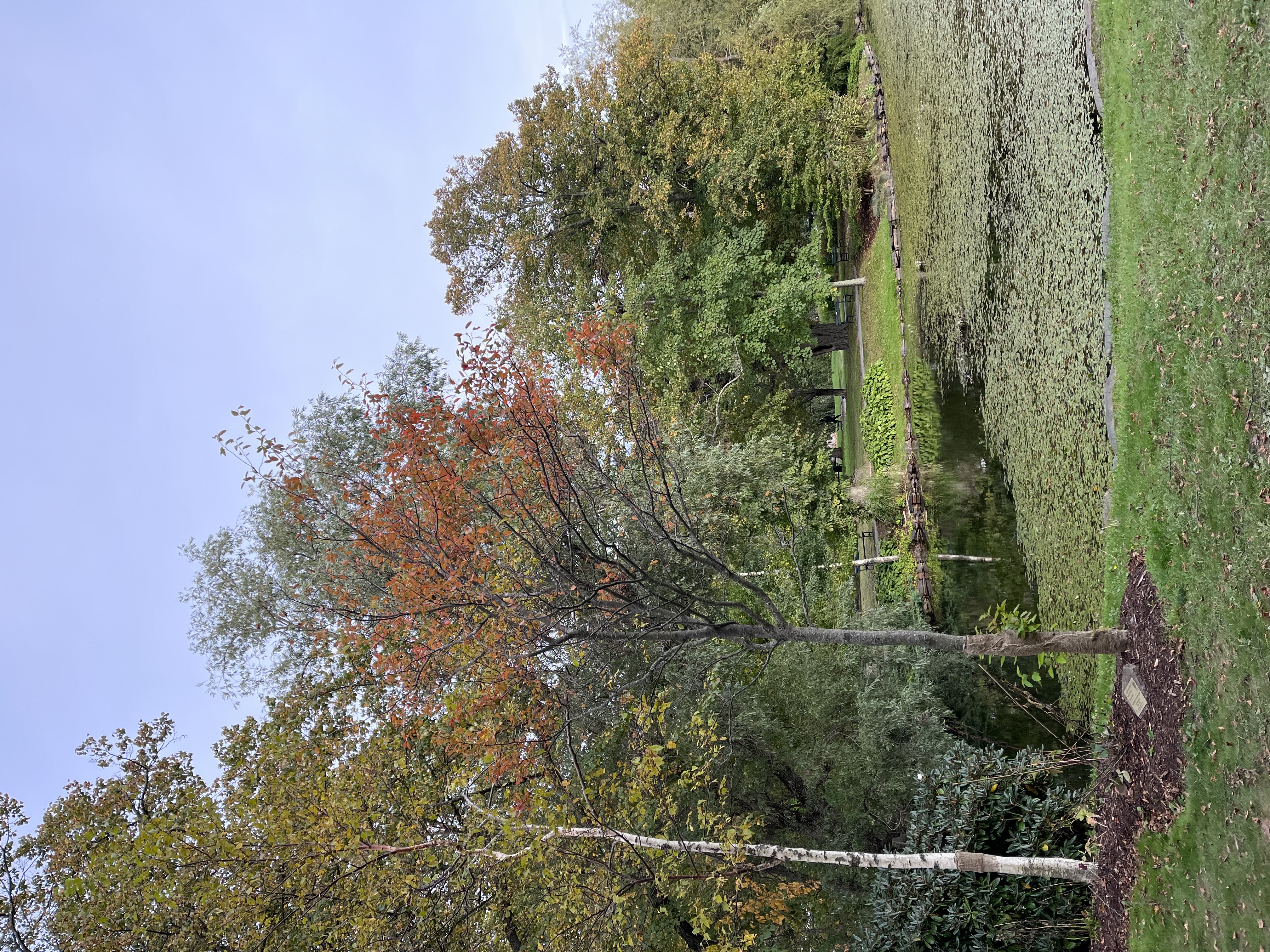 Halifax Public Gardens