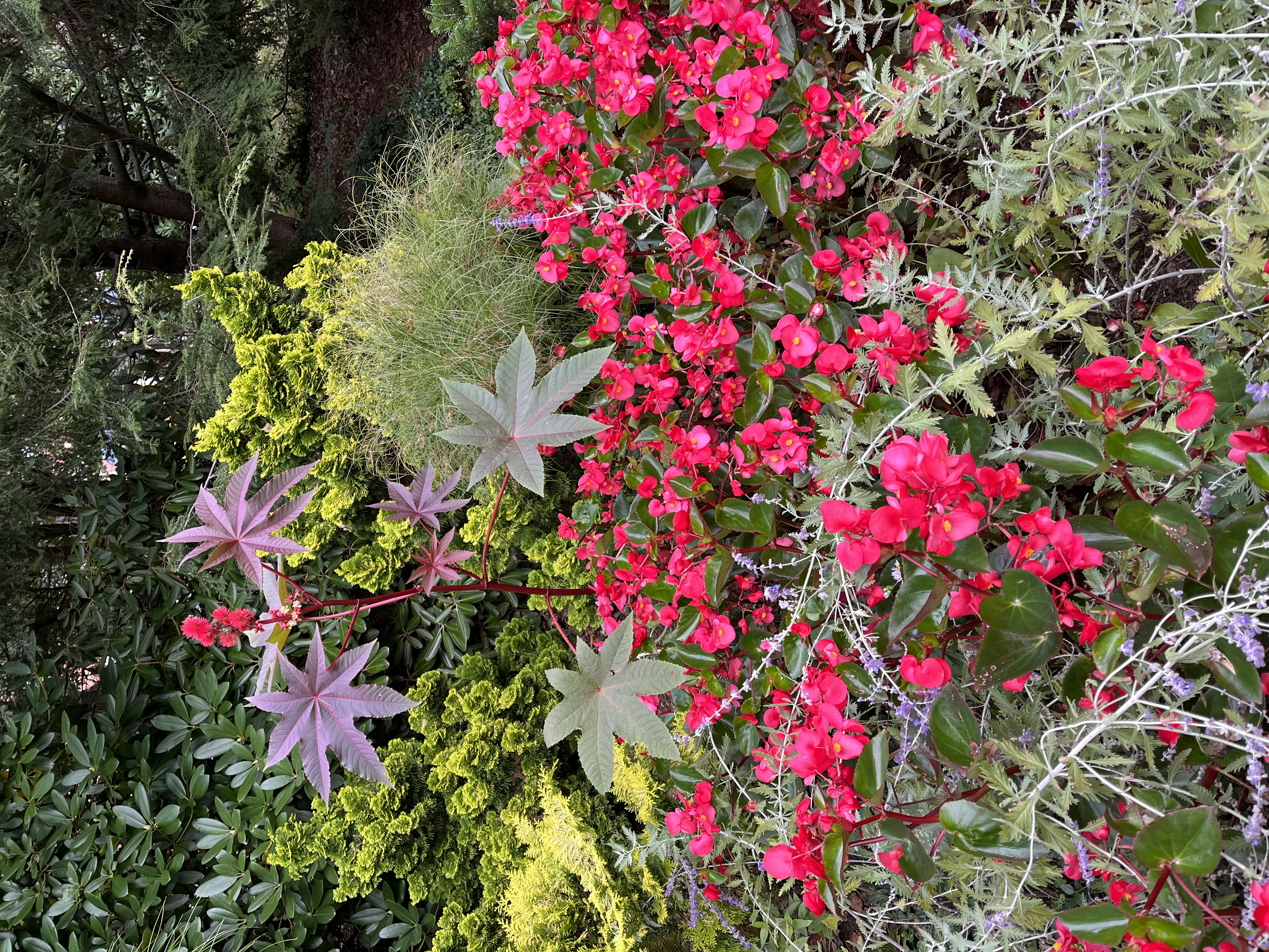 Halifax Public Gardens