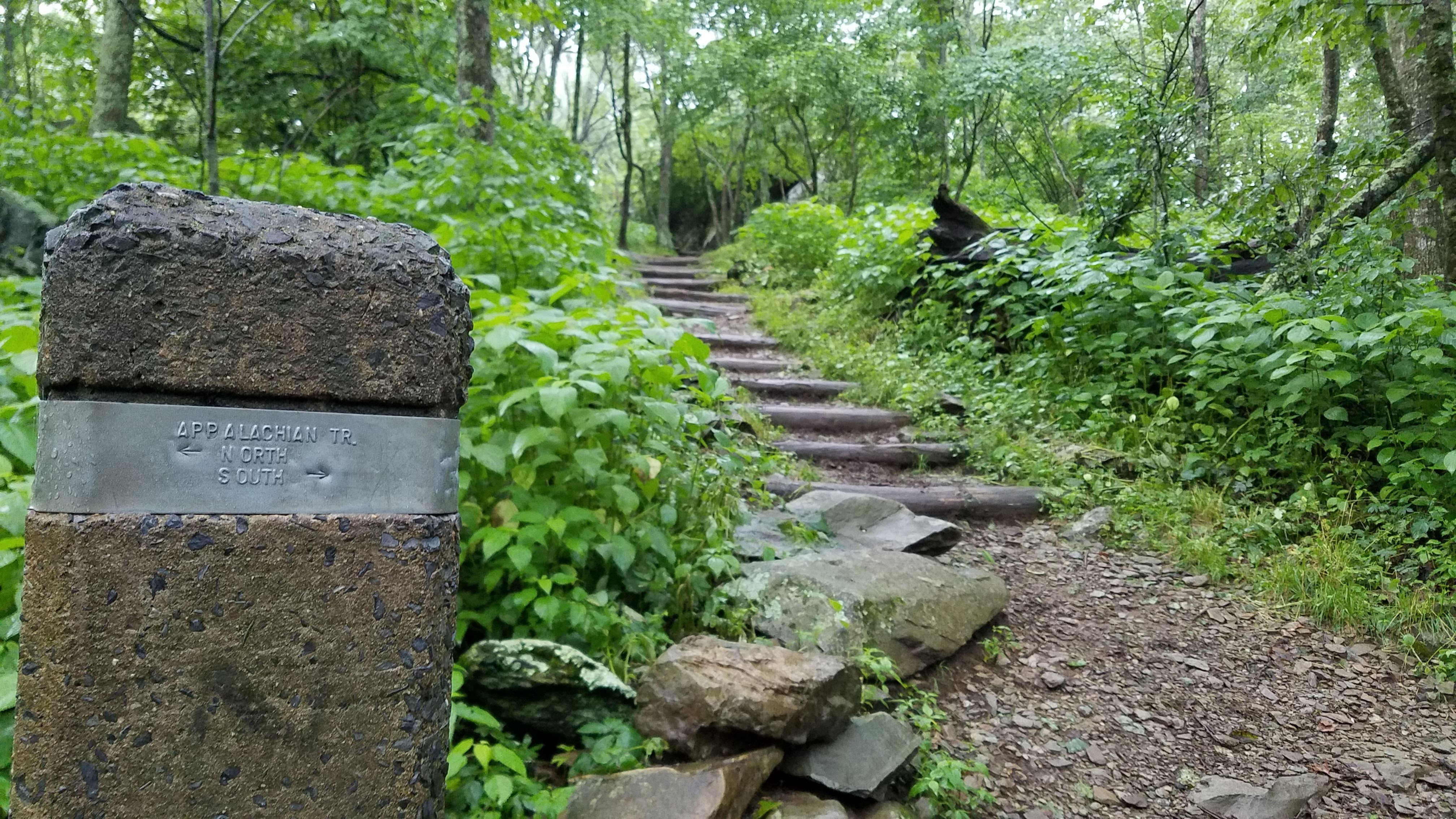 Bearfence Mountain Loop