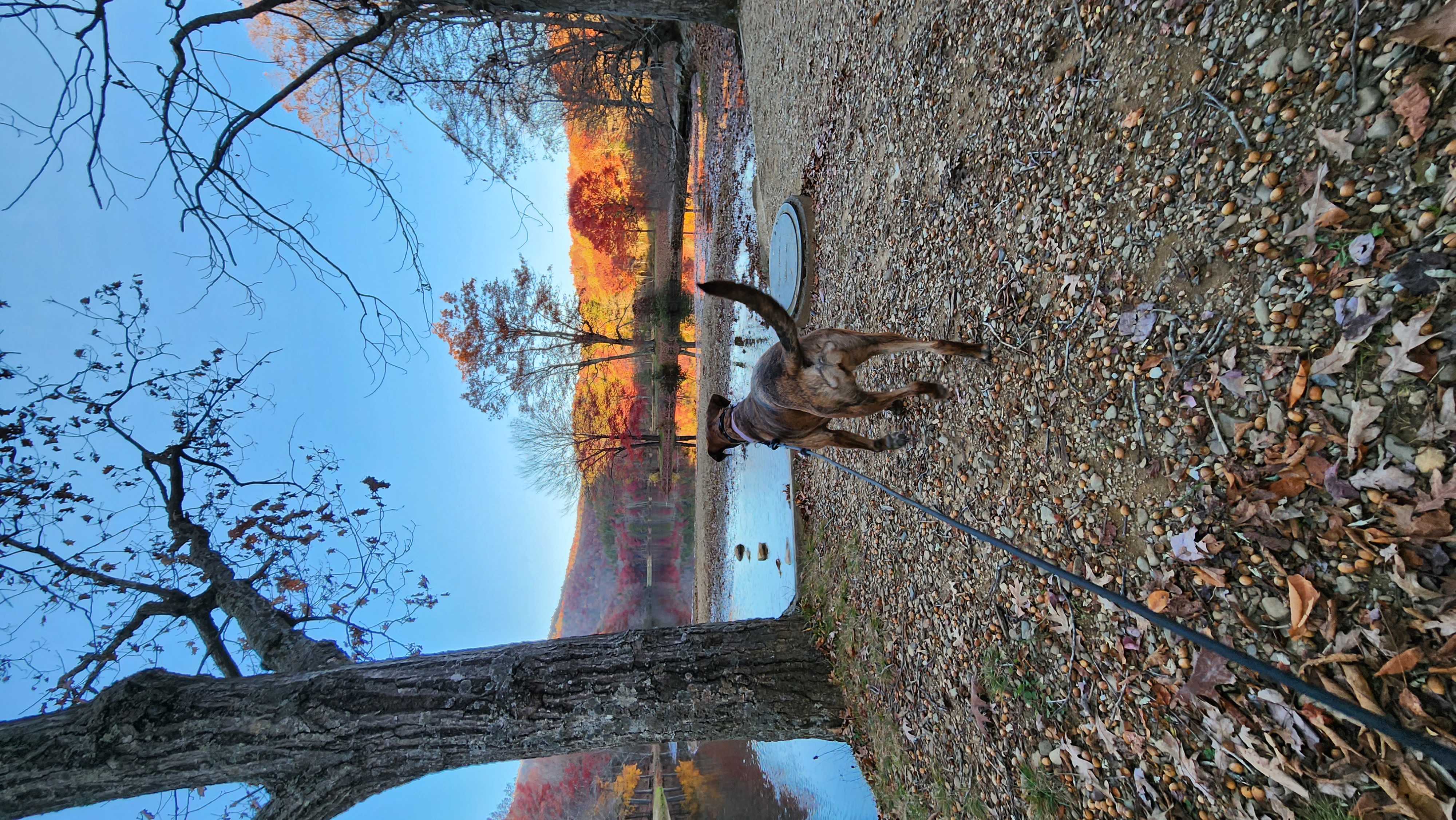 Camp at Sherando Lake