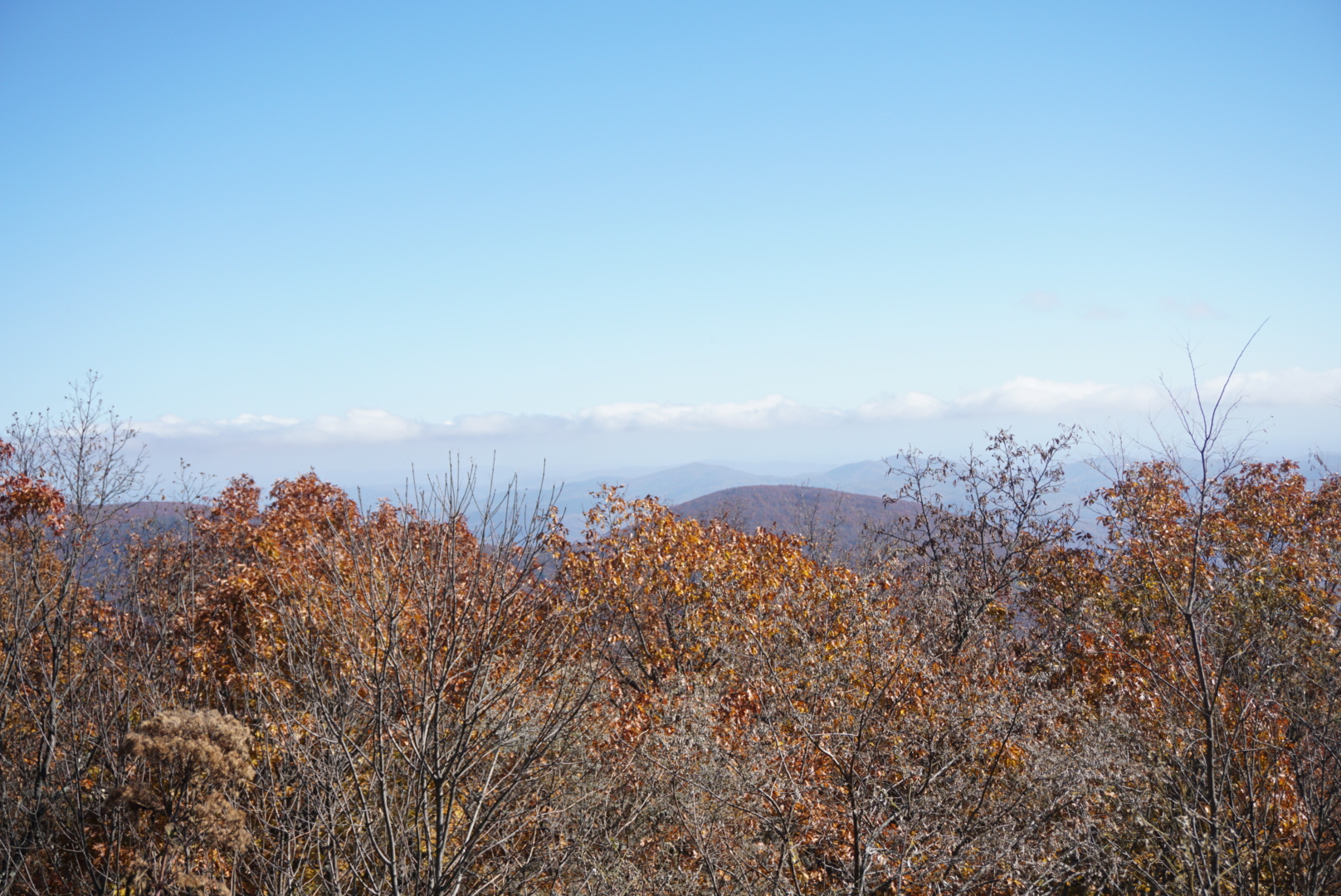 Photograph Devils Knob Overlook
