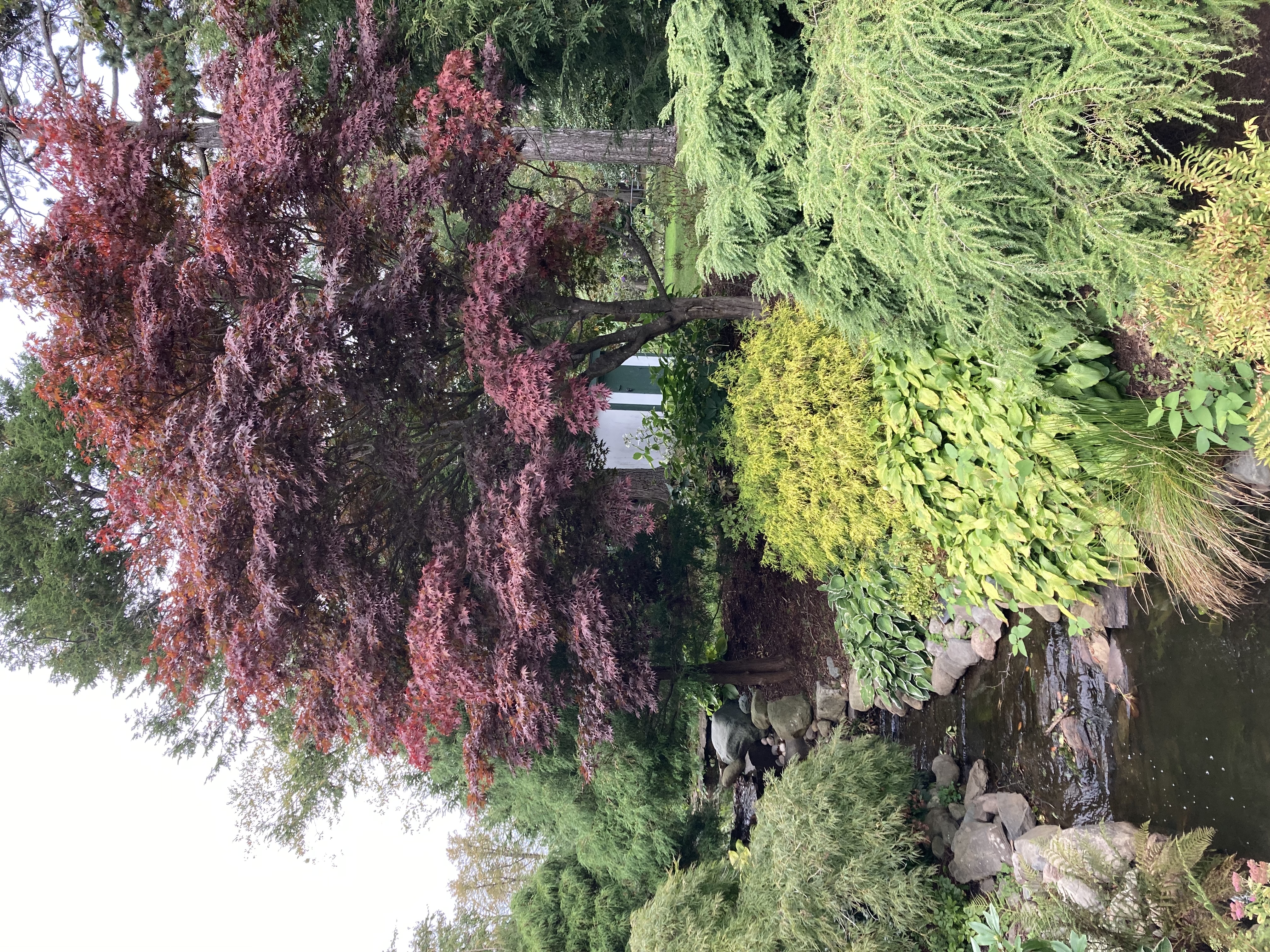 Halifax Public Gardens