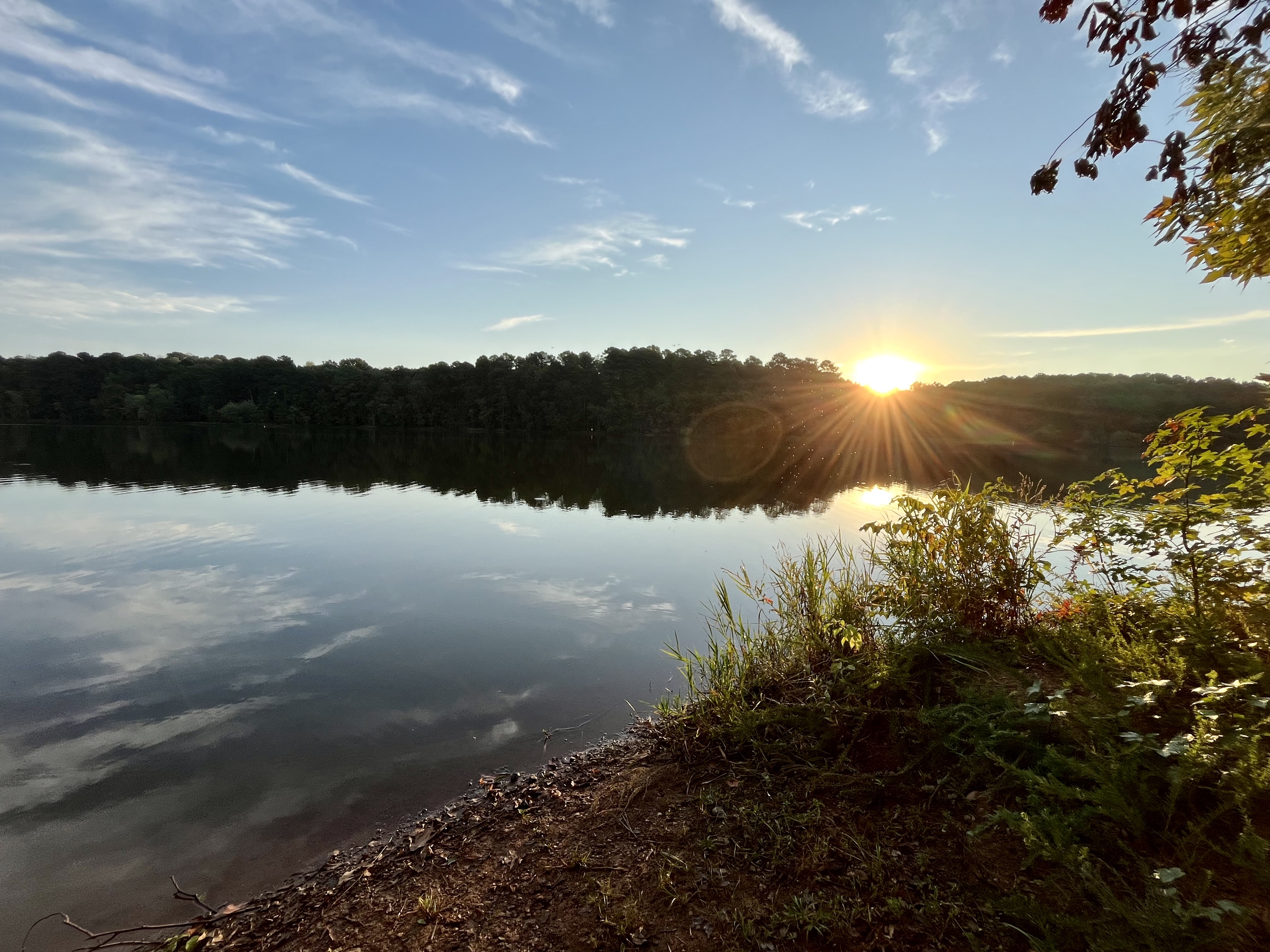 Bond Park Lake Trail