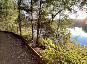 Bond Park Lake Trail