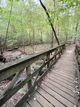 Reedy Creek and Loblolly Trail