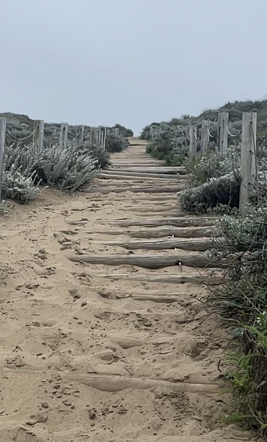 Baker Beach Sand Ladder