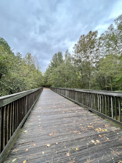 Loblolly and Reedy Creek Trail Loop
