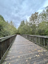 Loblolly and Reedy Creek Trail Loop