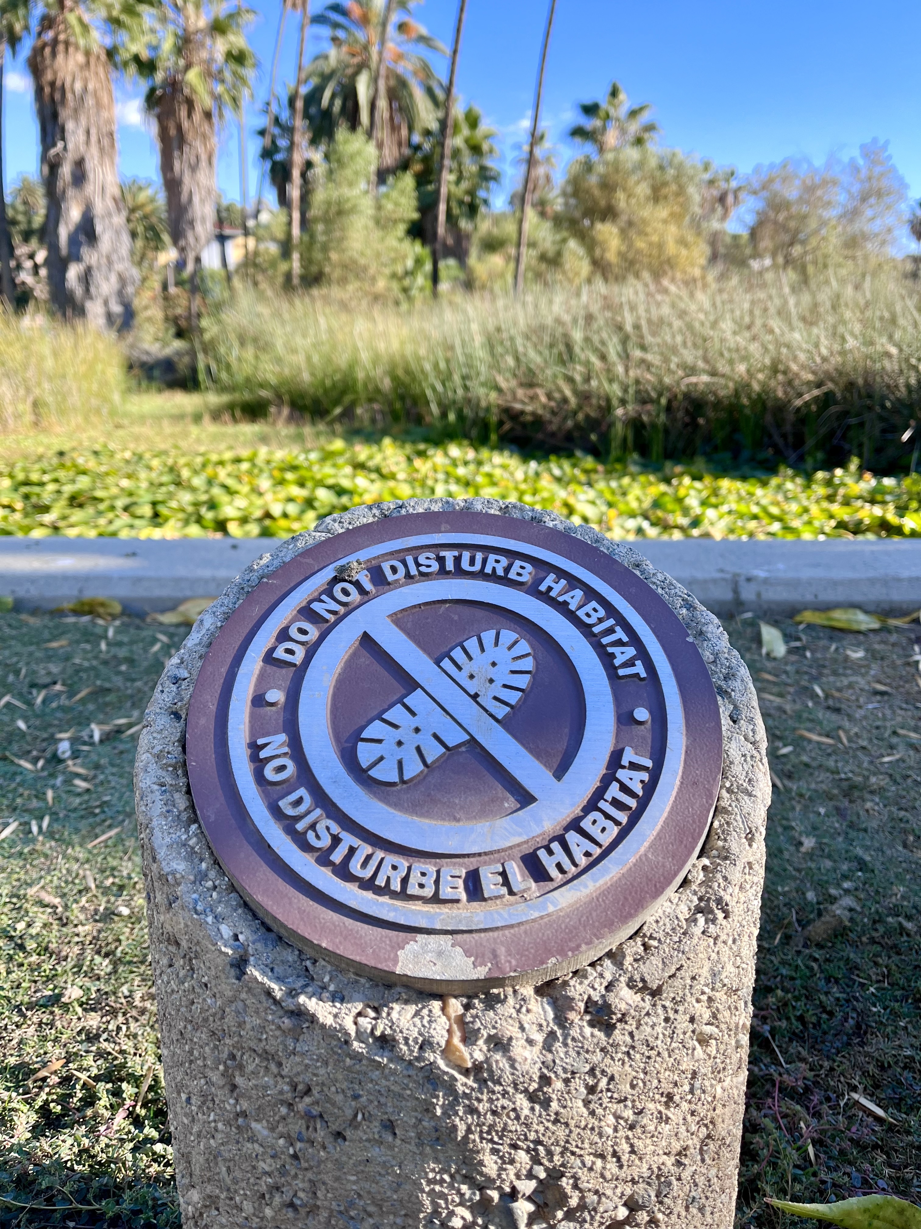 Echo Park Lake