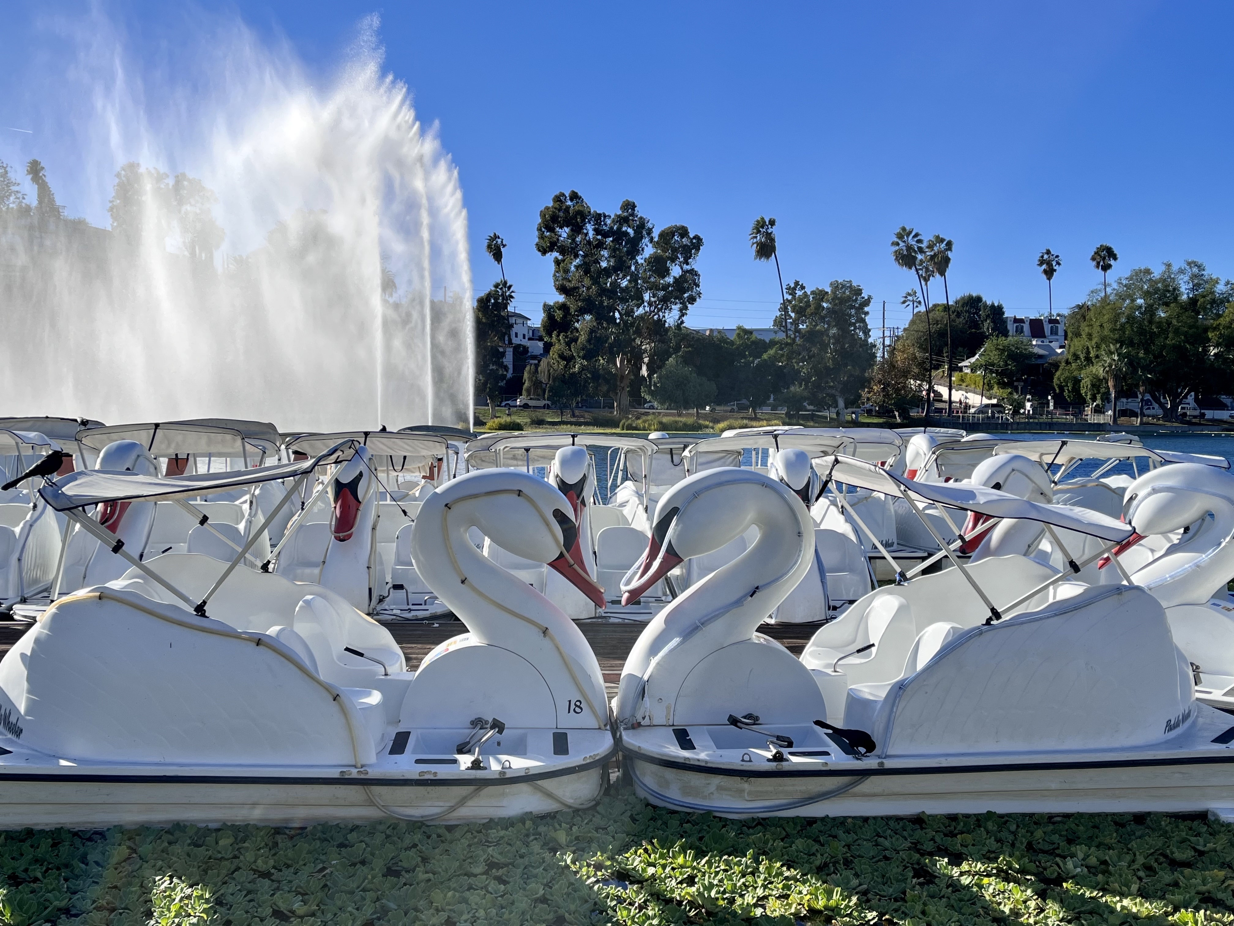 Echo Park Lake
