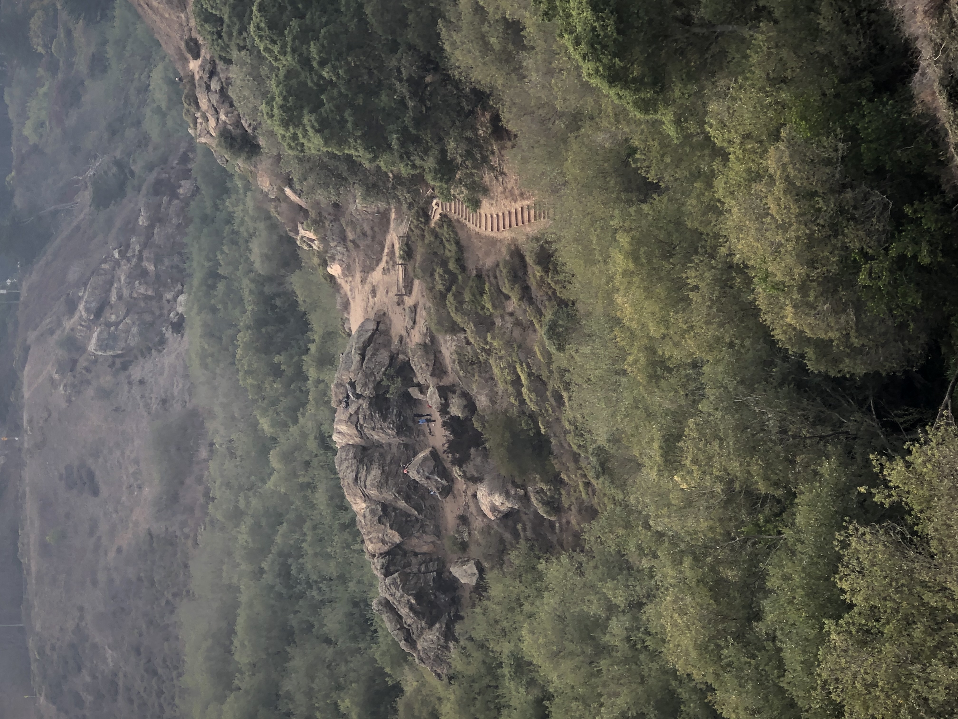 Glen Canyon Park Trail