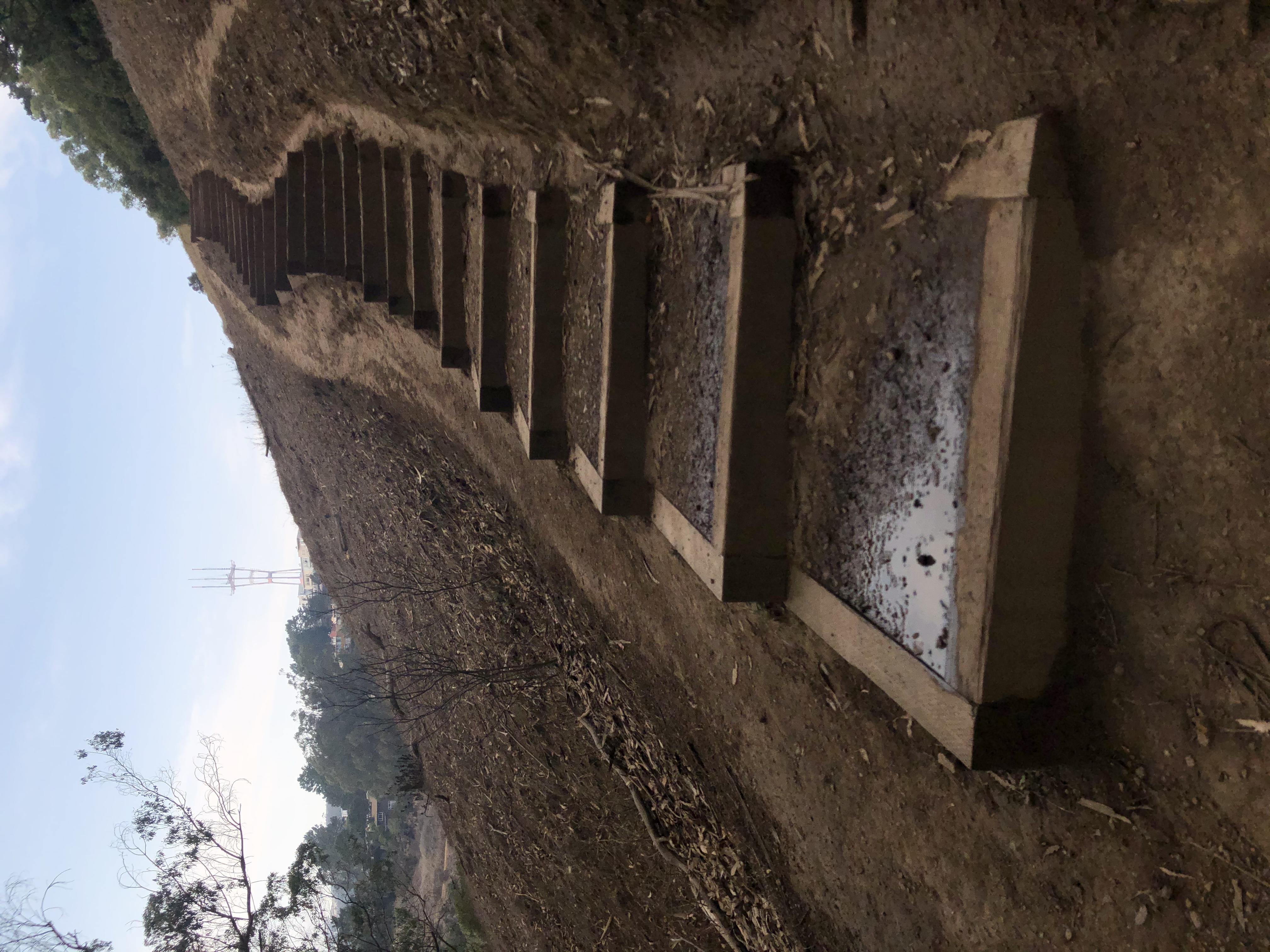 Glen Canyon Park Trail