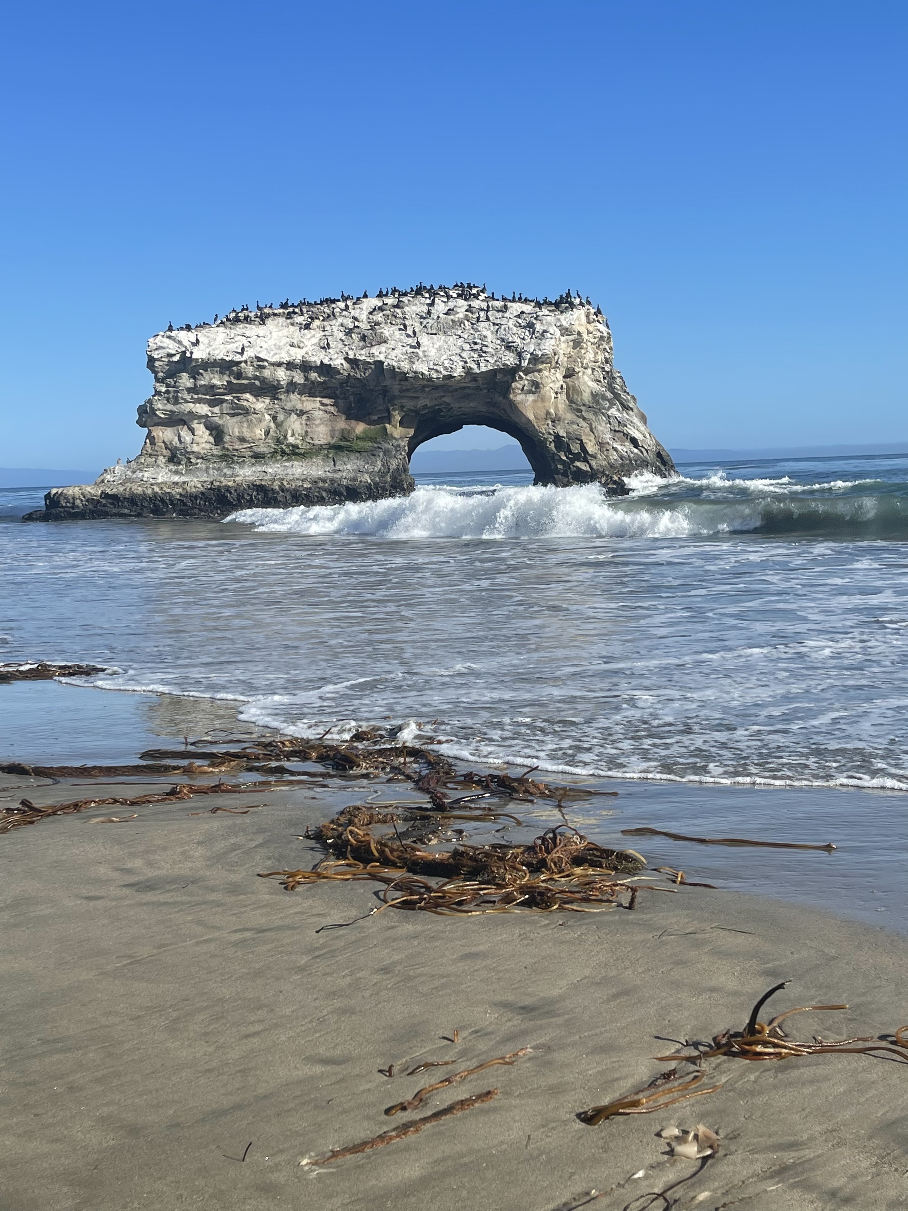 Natural Bridges State Beach