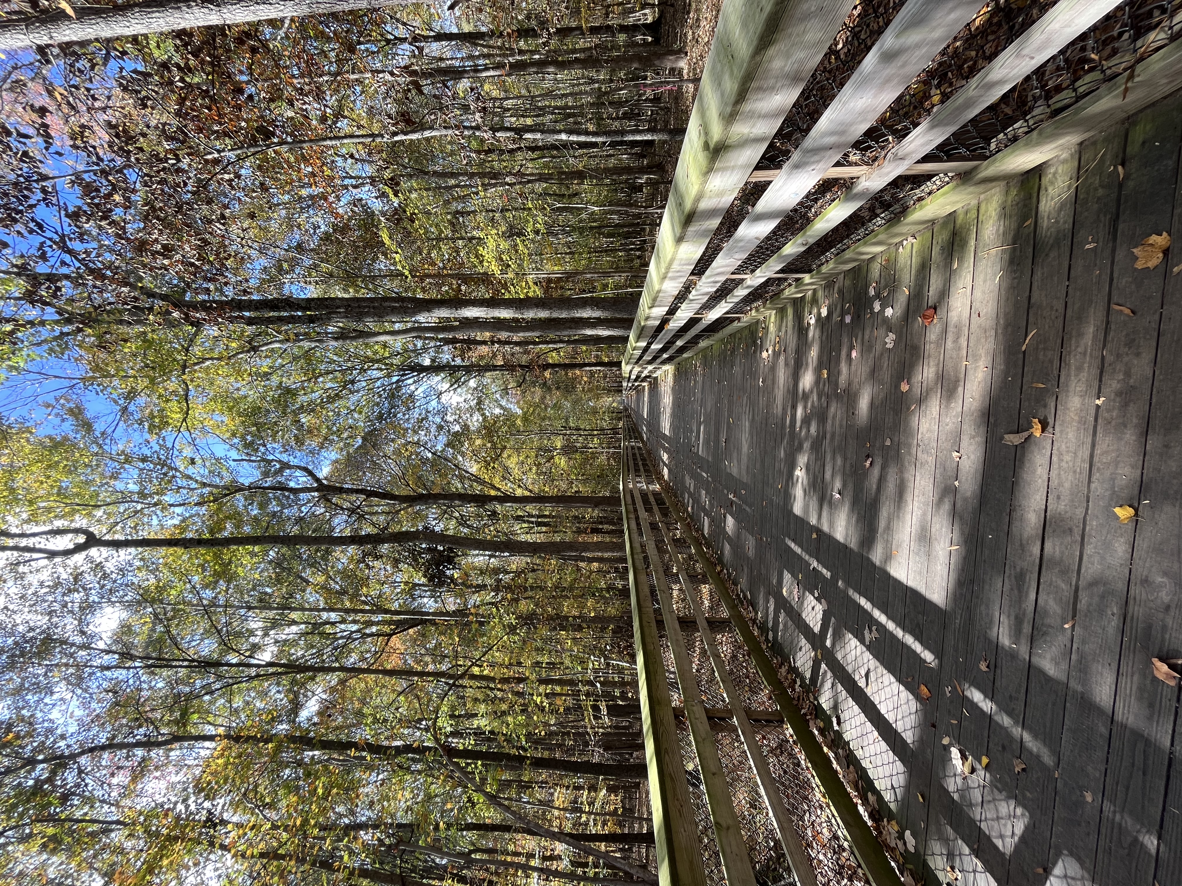 Hatcher Creek Greenway