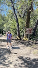 Camp at Henry Cowell Redwoods Campground