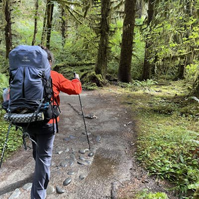 Backpack the Hoh River Trail