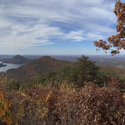 Take in the View at Chilhowee Overlook