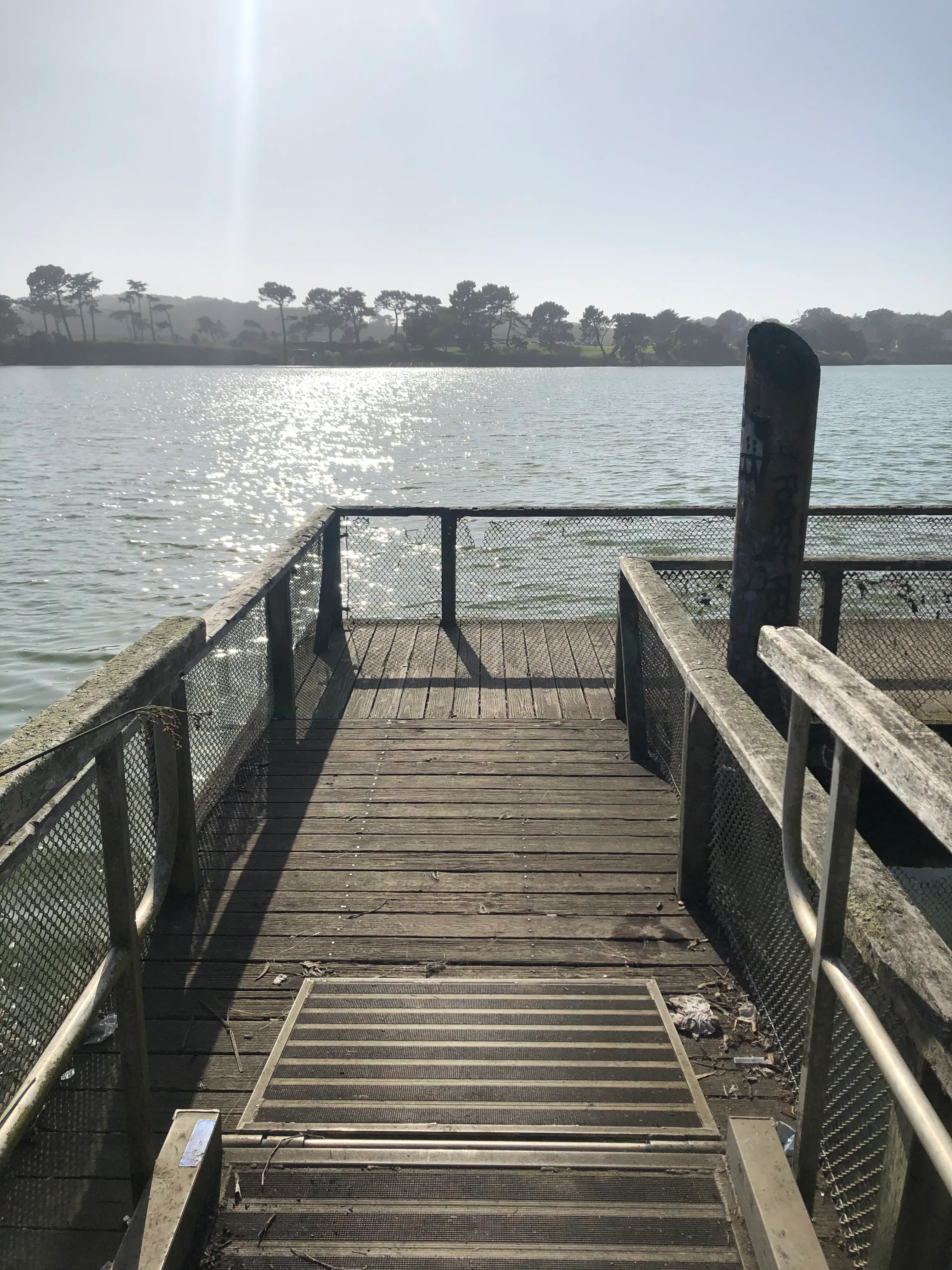 Lake Merced Loop