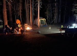 Camp at Tuolumne Meadows Campground