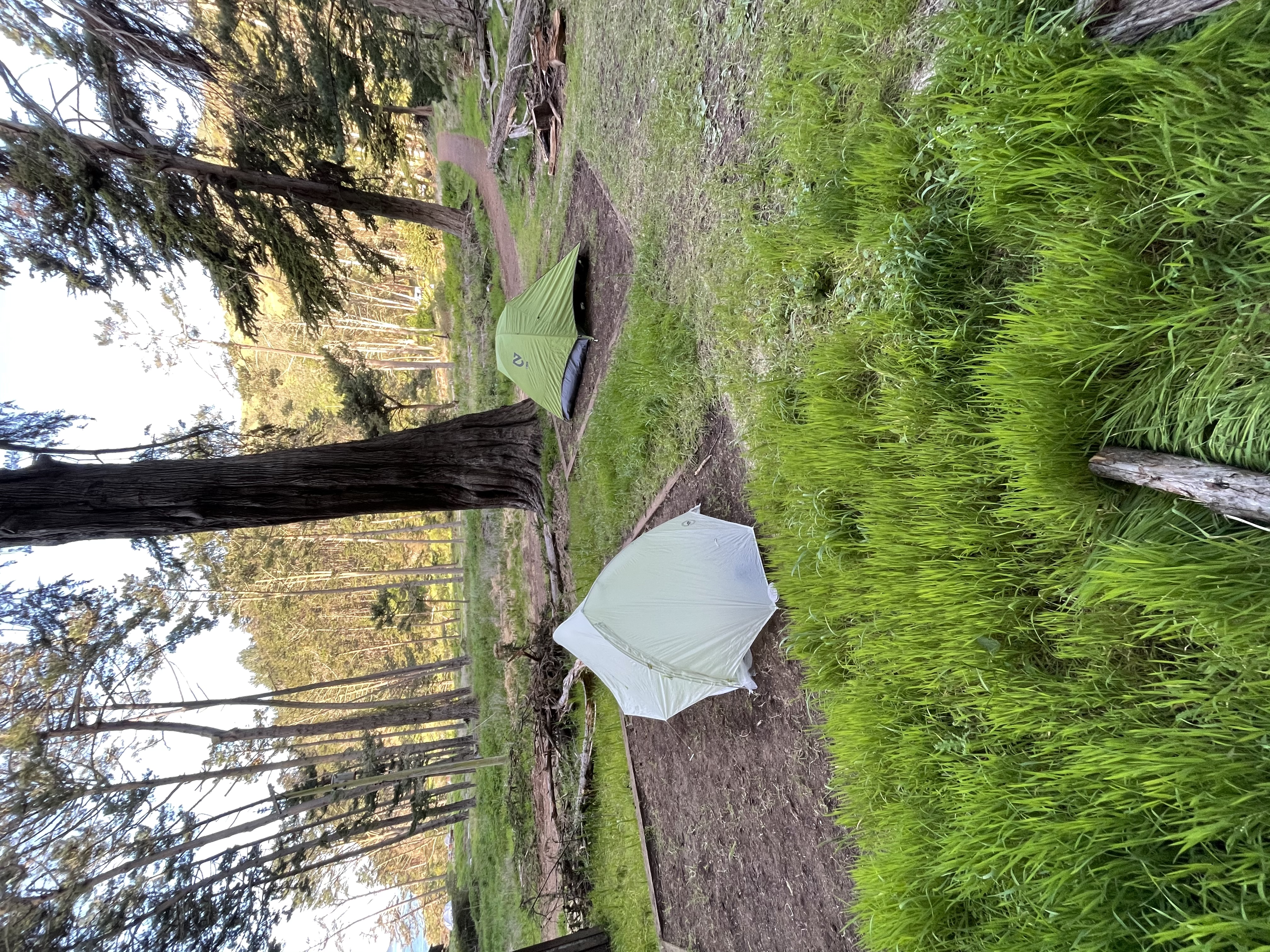 Camp at Kirby Cove