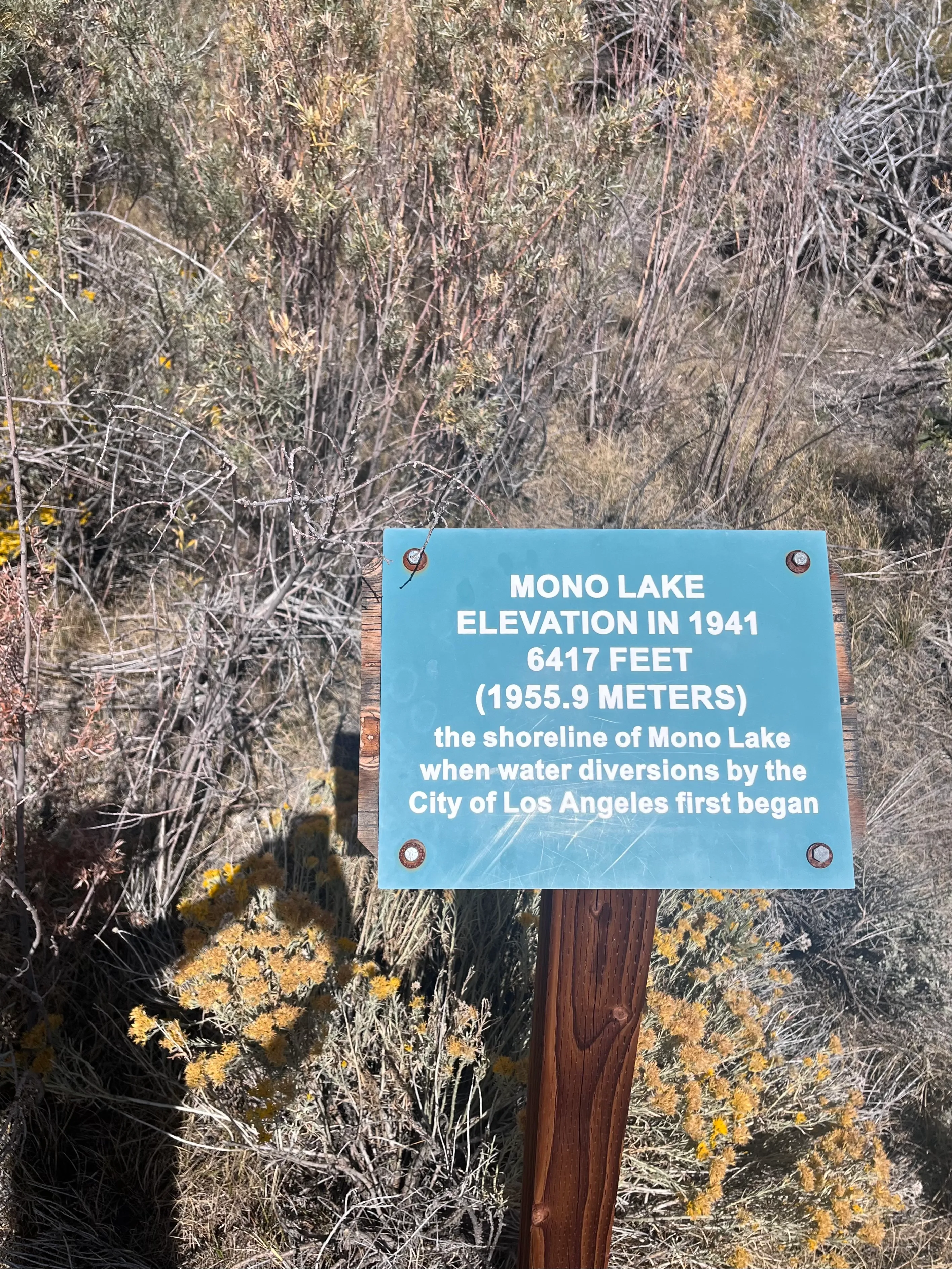 Mono Lake Park Nature Trail