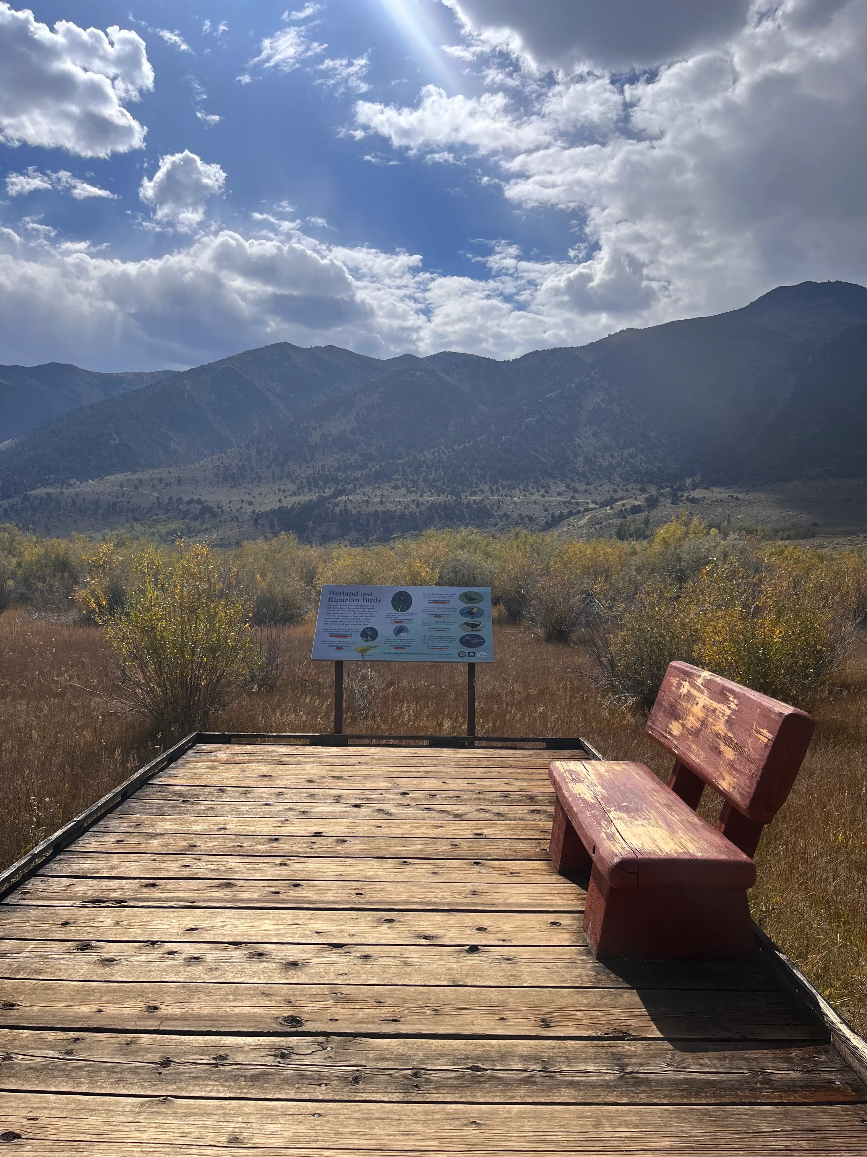 Mono Lake Park Nature Trail