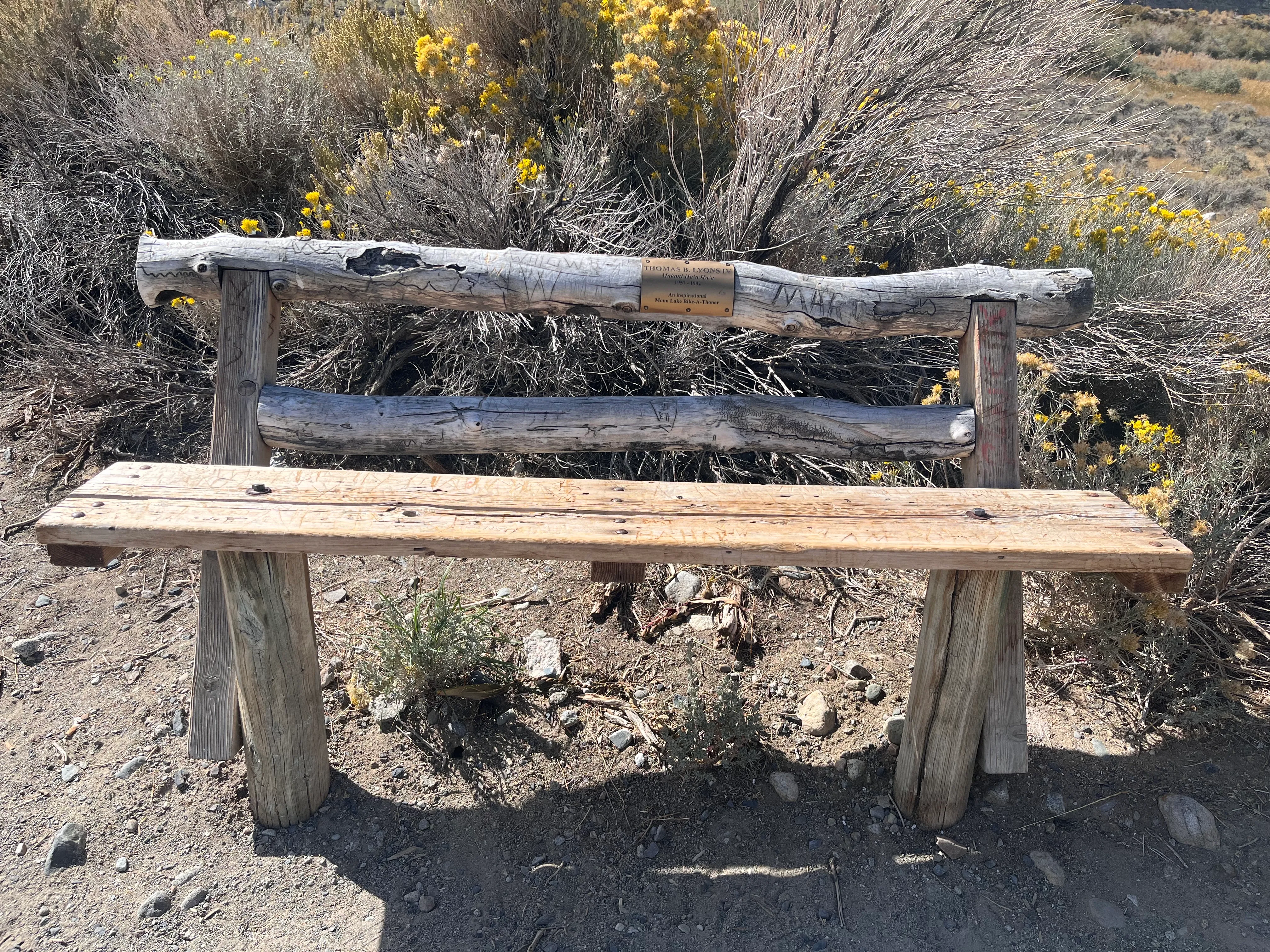 Mono Lake Boardwalk