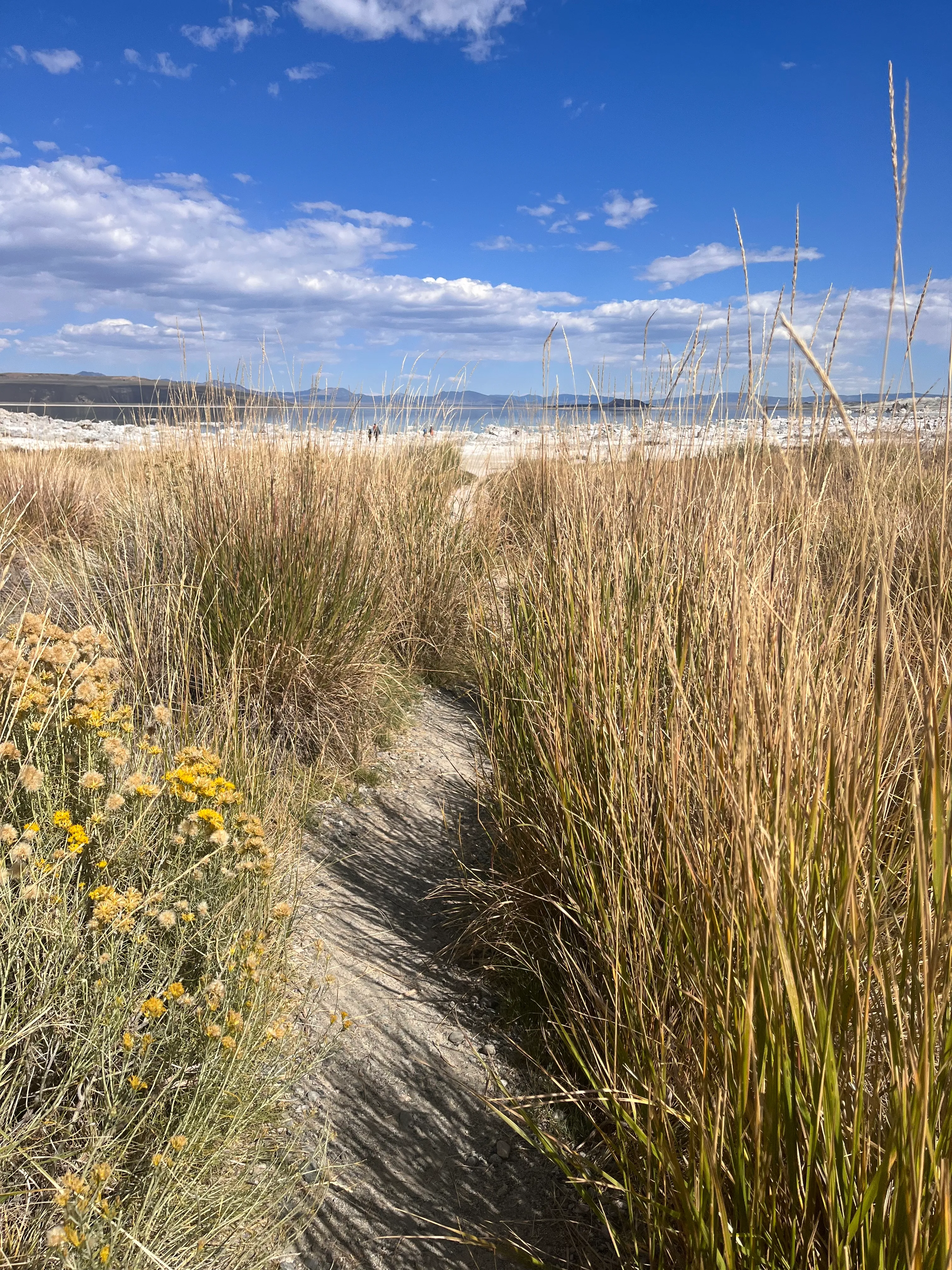 Mono Lake Boardwalk