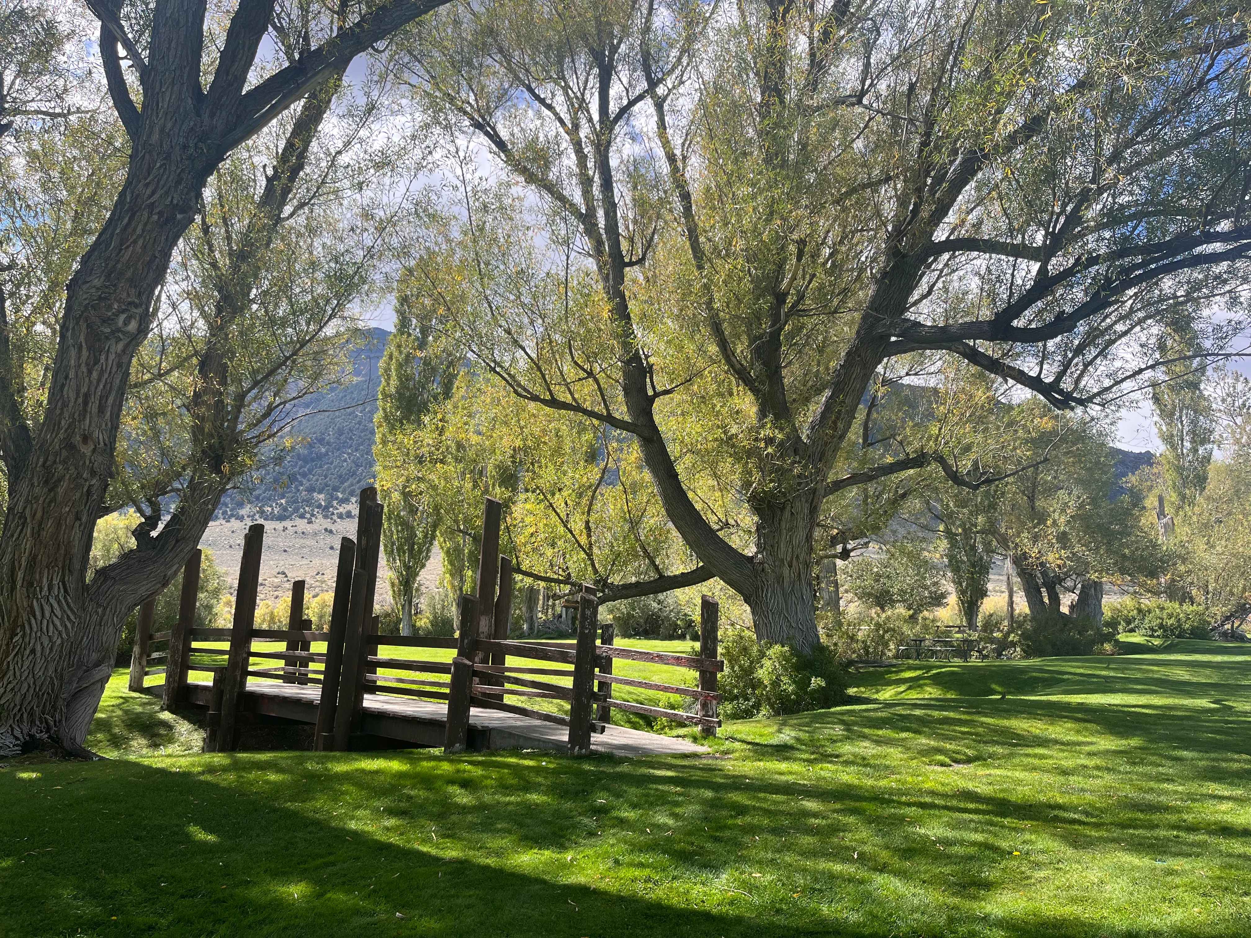 Mono Lake Park Nature Trail
